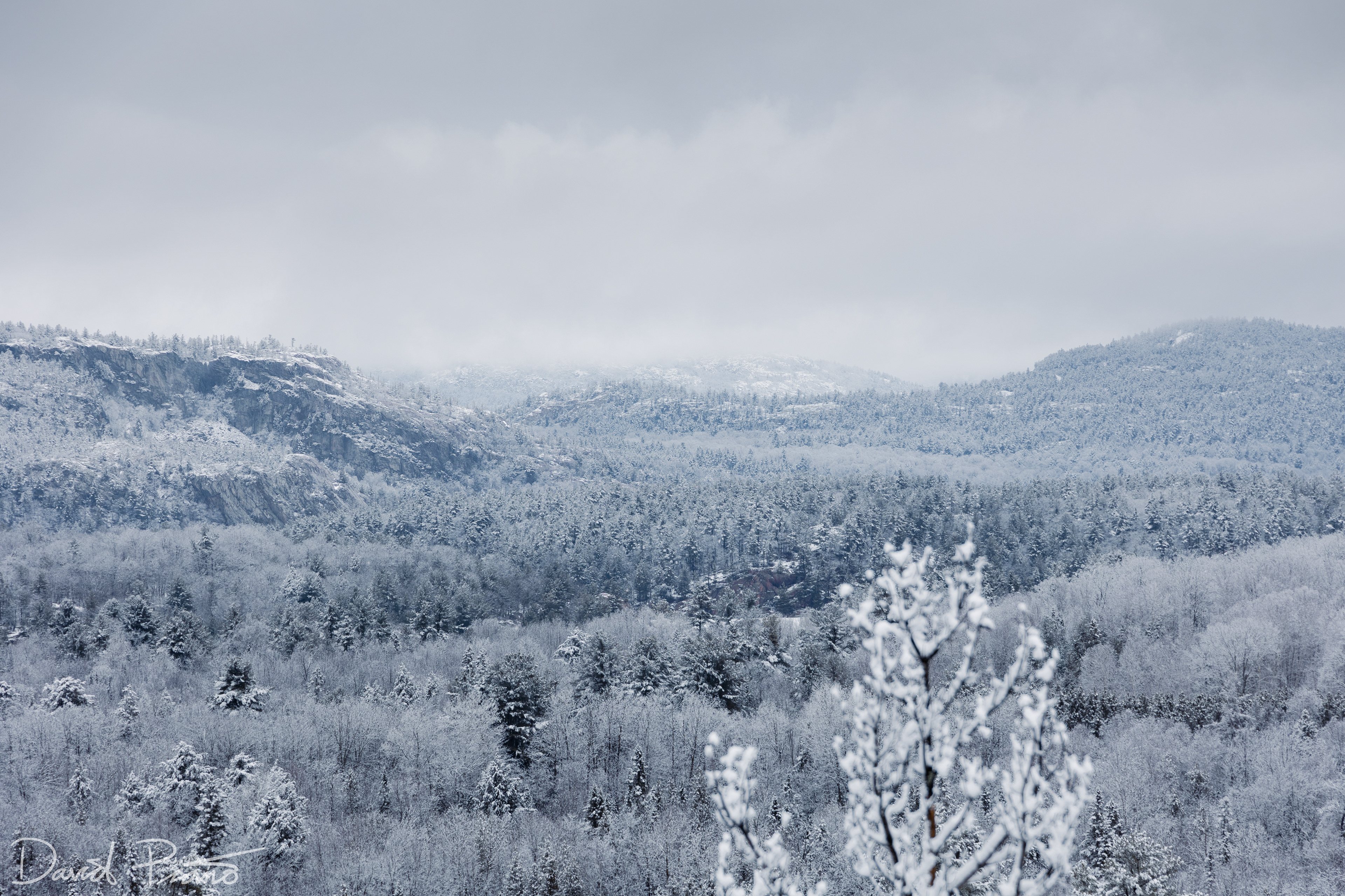 Snow-globe scenes at Killarney Provincial Park after a fresh snowfall - 03/25/2022
