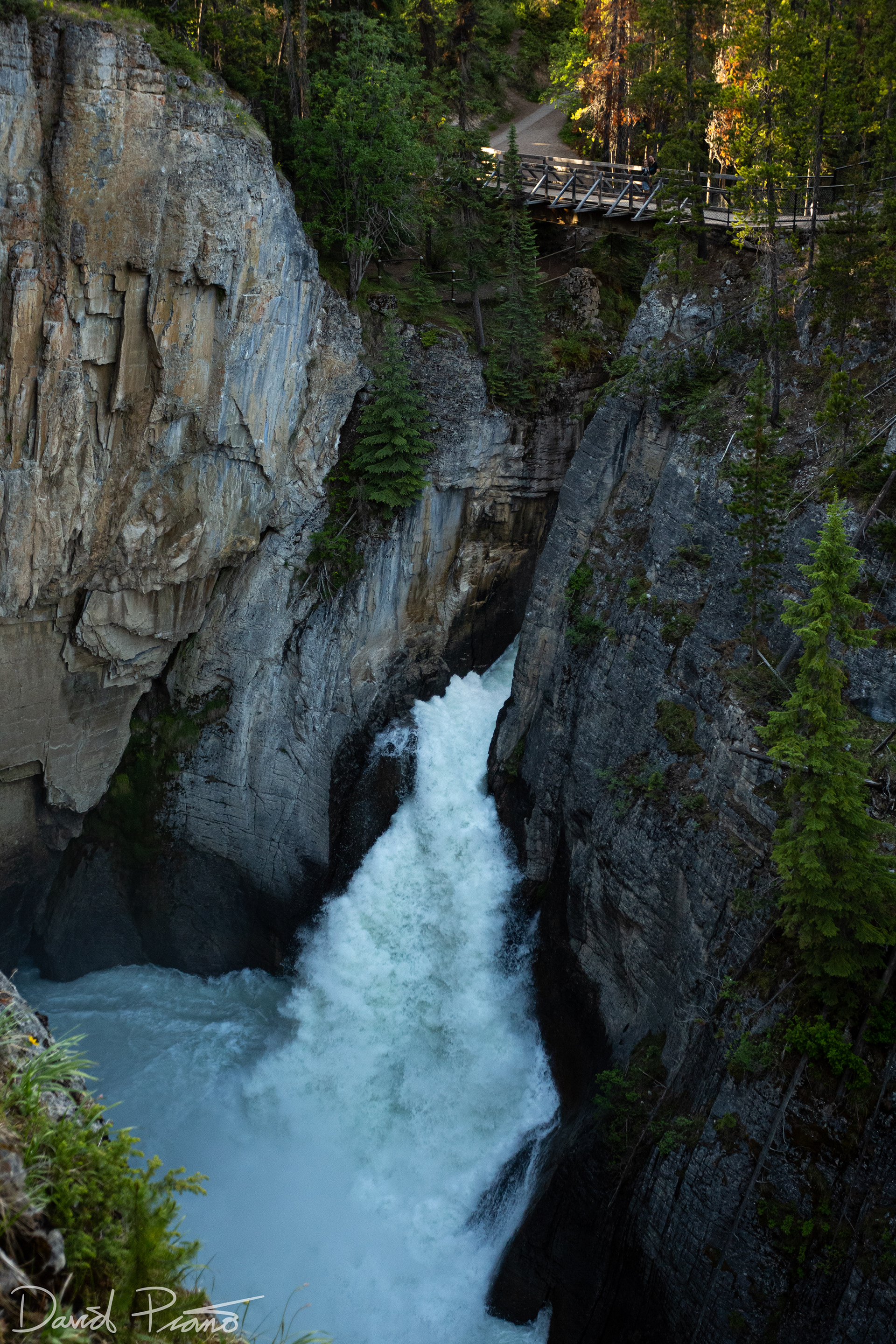 Sunwapta Falls