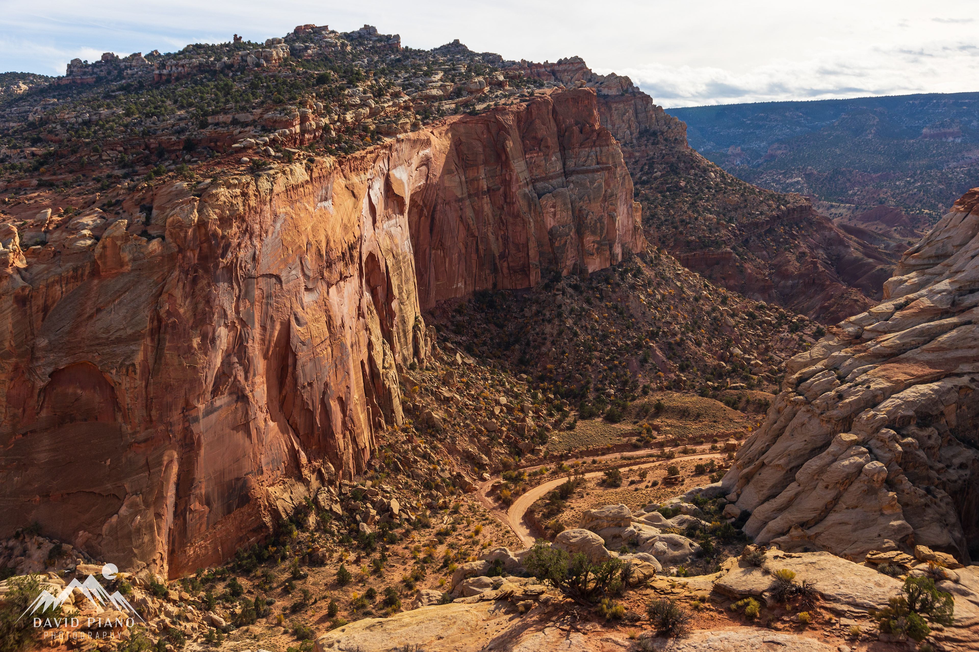 View of Grand Wash along the Cassidy Arch Trail