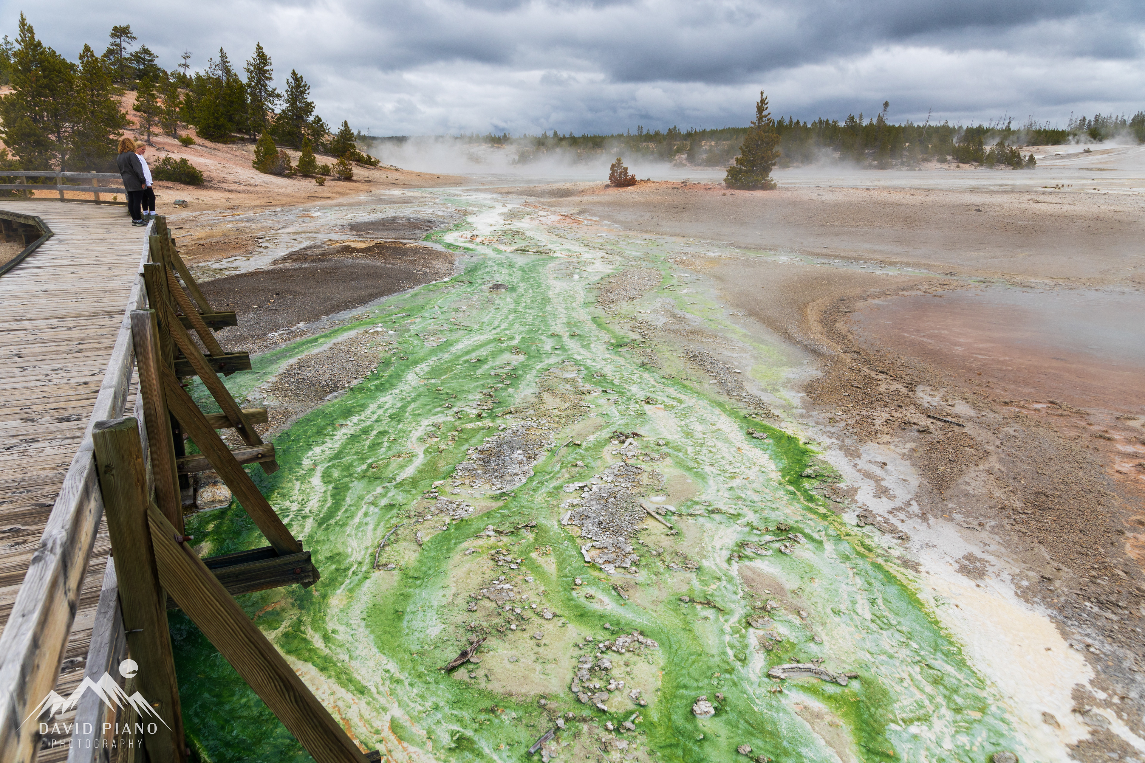 Green Thermophiles