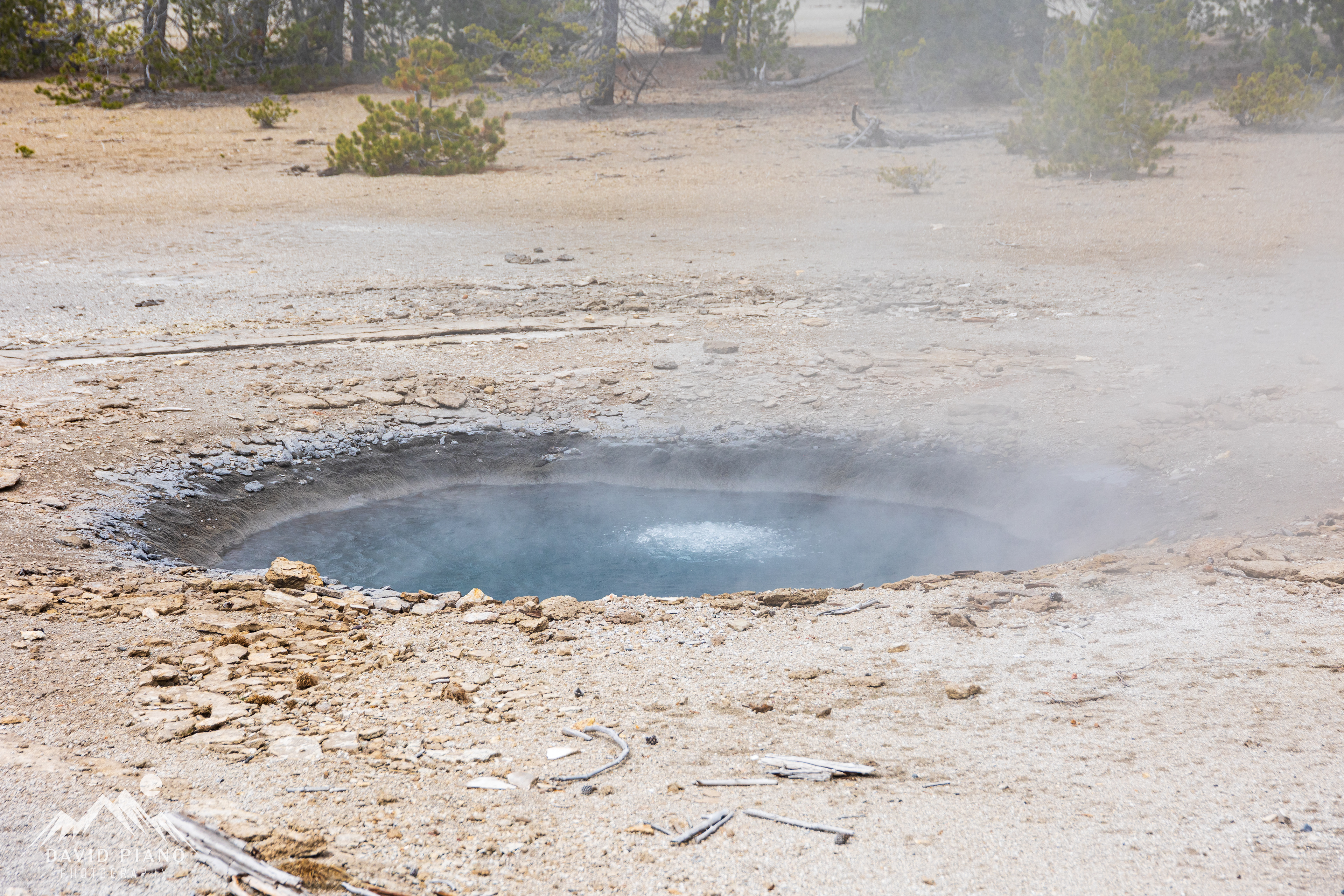 Fearless Geyser