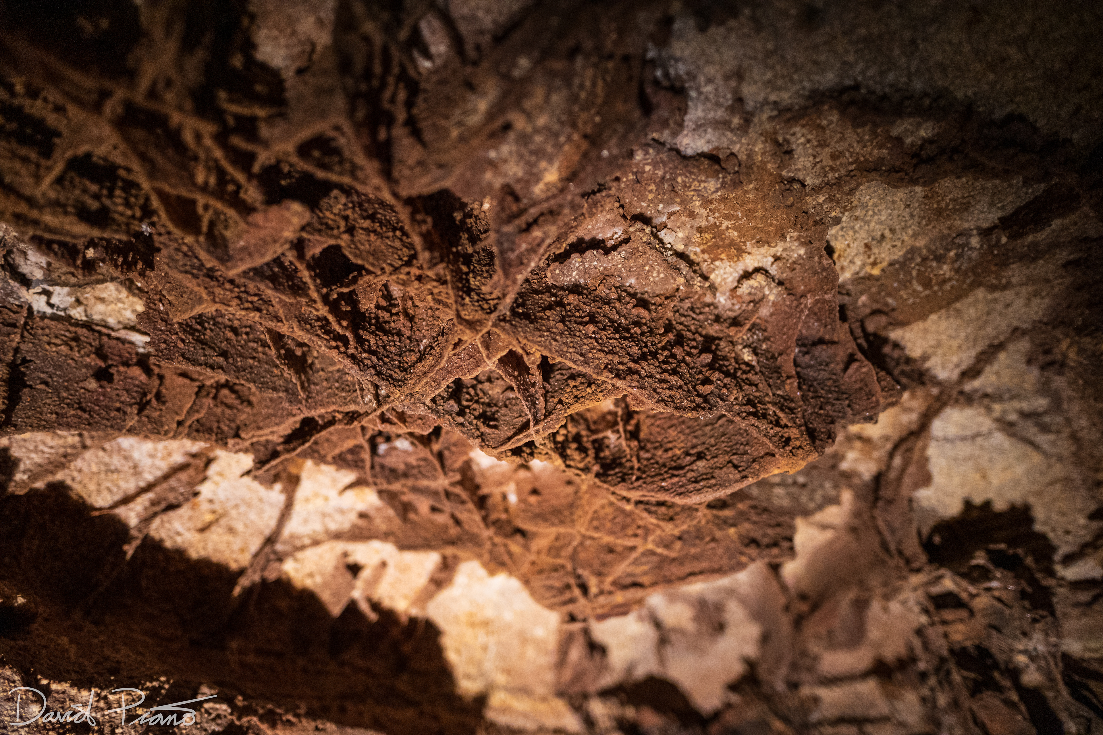 Boxwork formations (blades of calcite) in Wind Cave