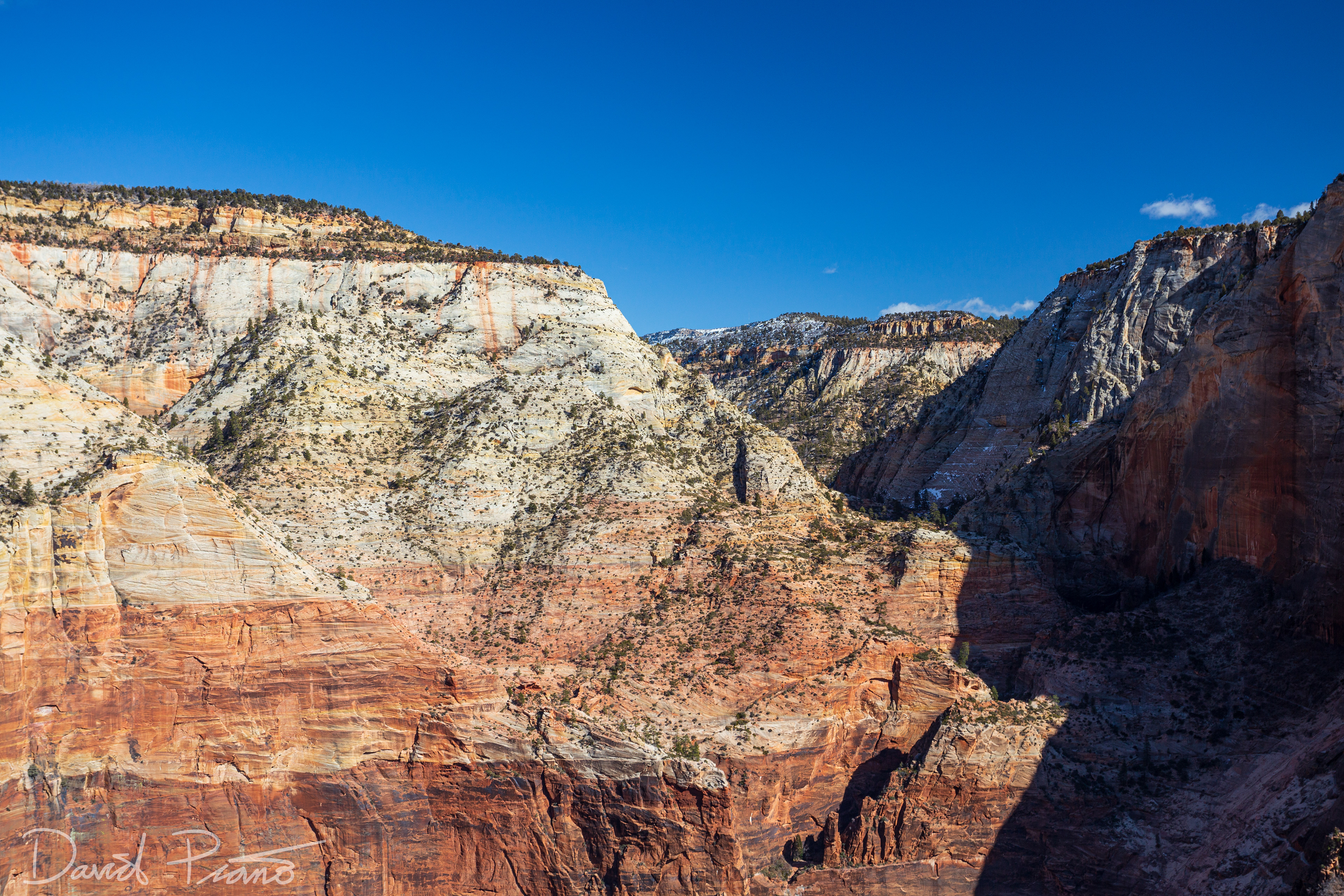 Zion Canyon - Feb. 2020