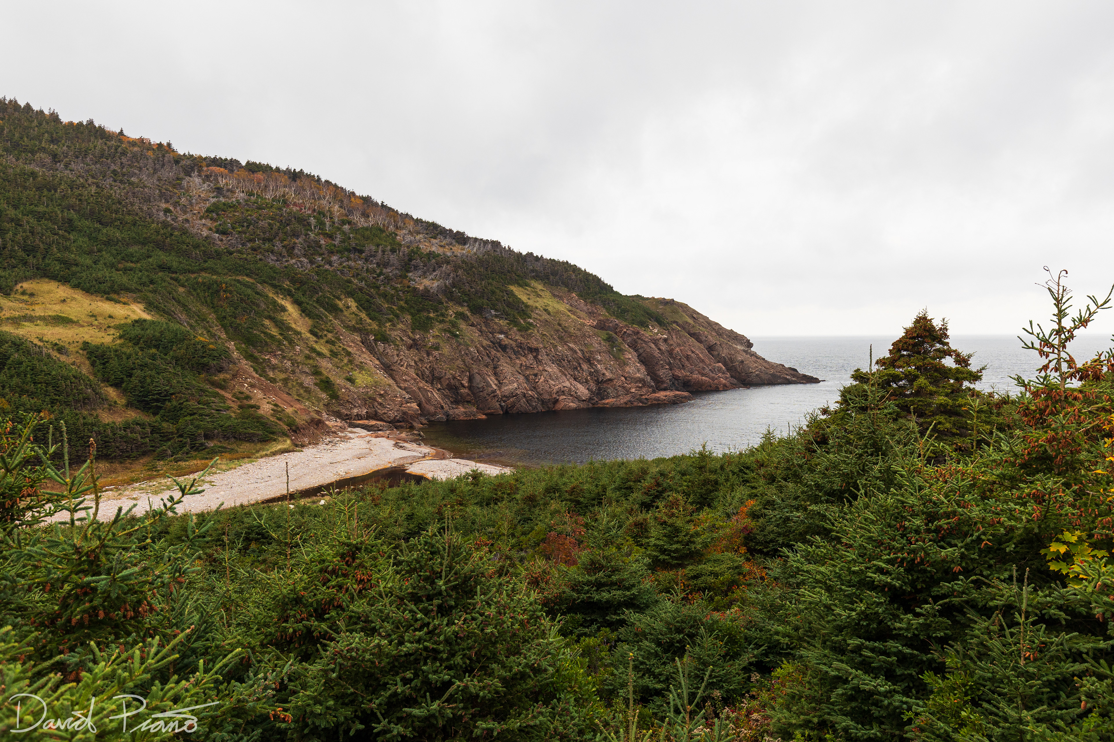 Fishing Cove Backcountry Campground