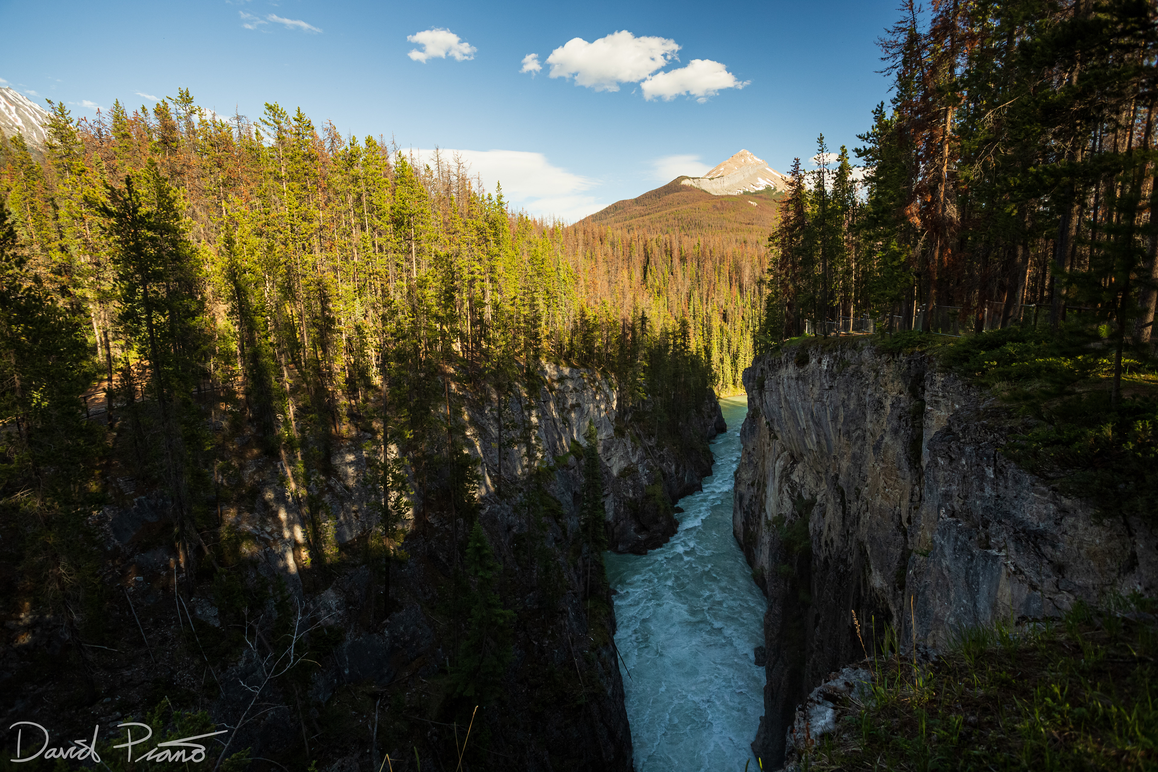 Sunwapta Falls