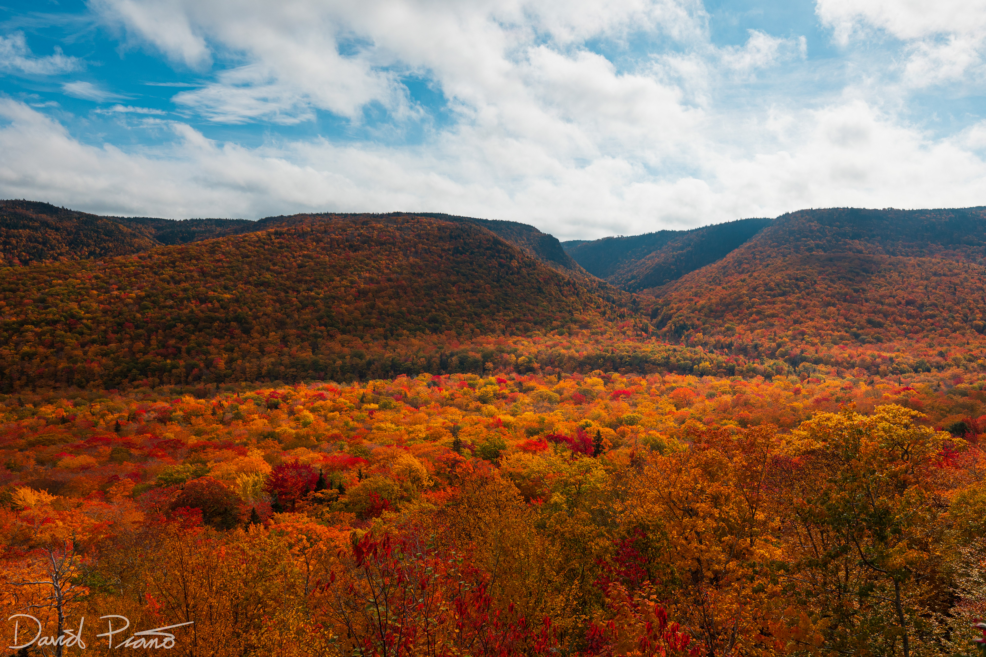 North Mountain Lookout - Autumn 2021