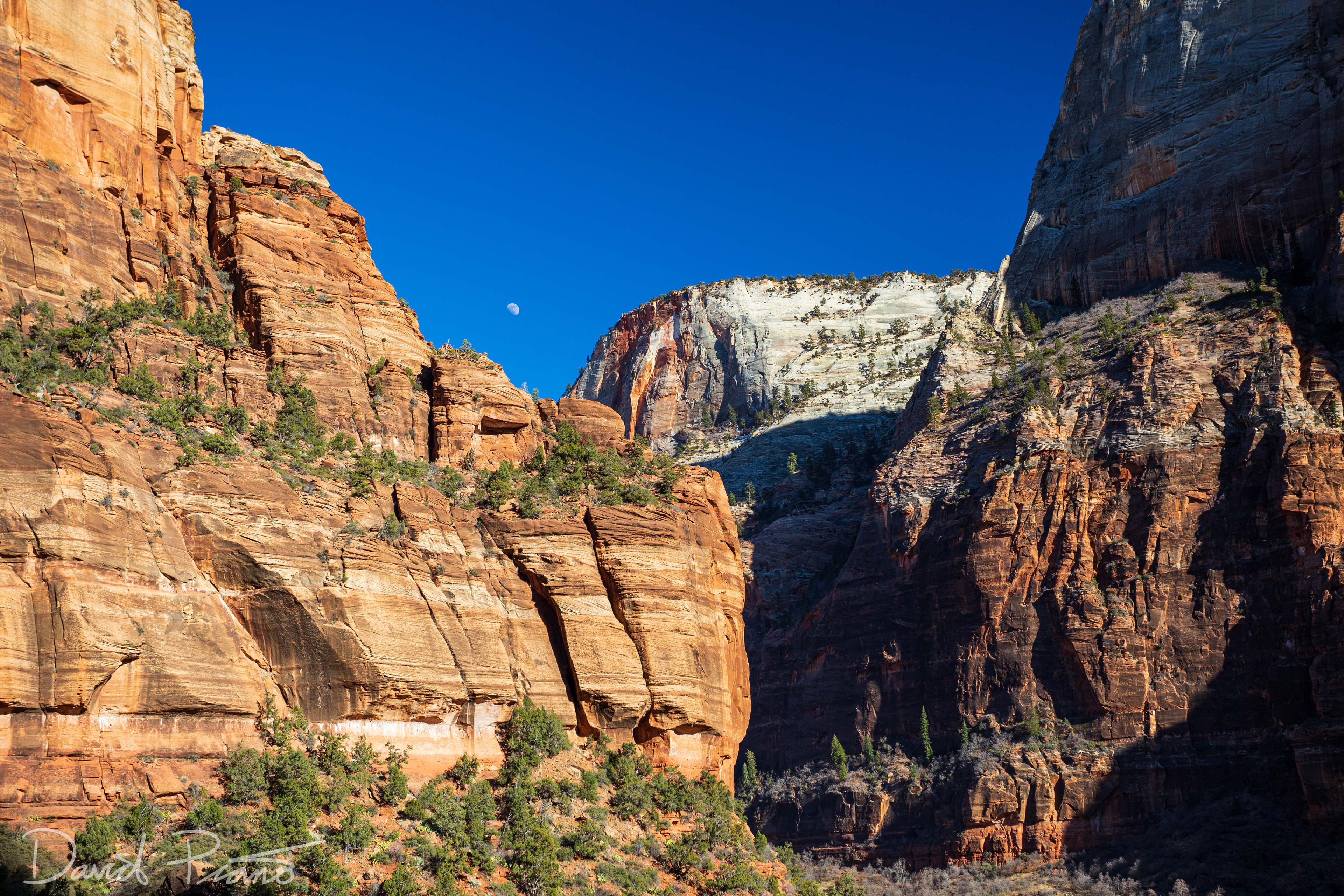 Zion Canyon - Feb. 2020