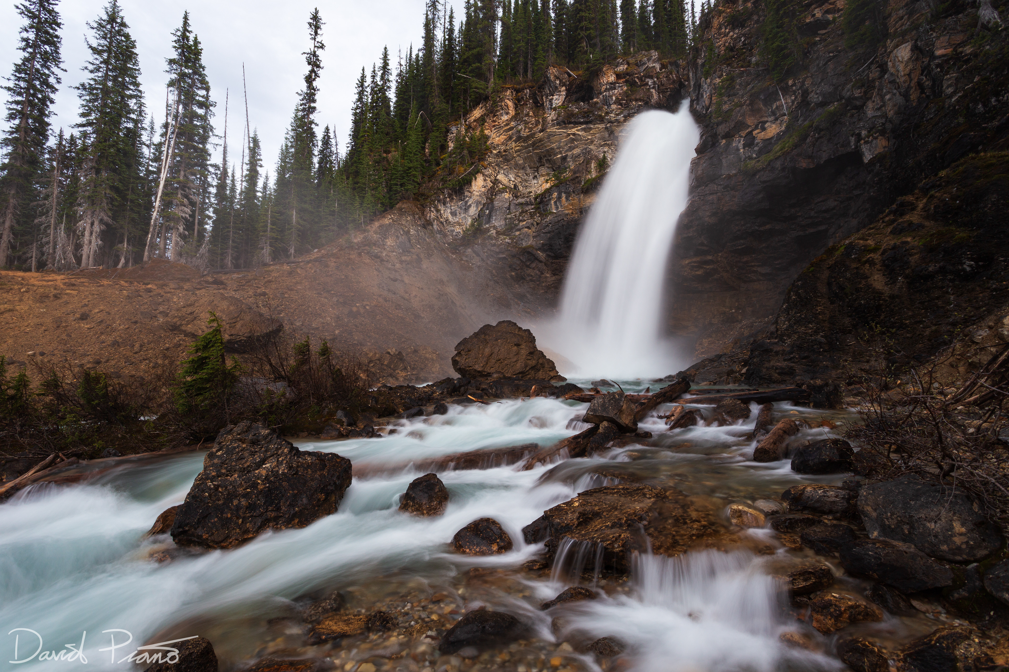 Laughing Falls - Yoho National Park