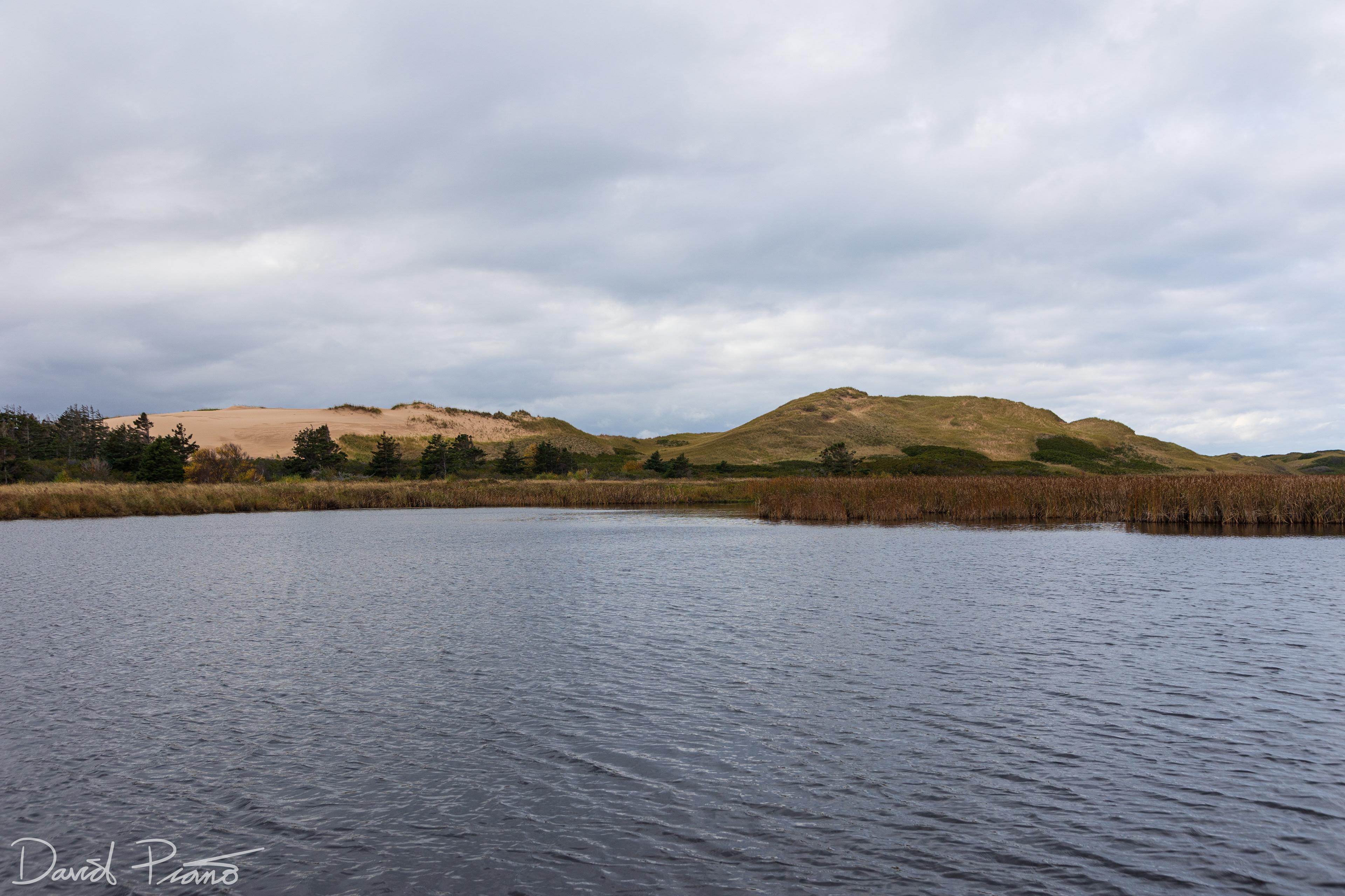 Greenwich Sand Dunes
