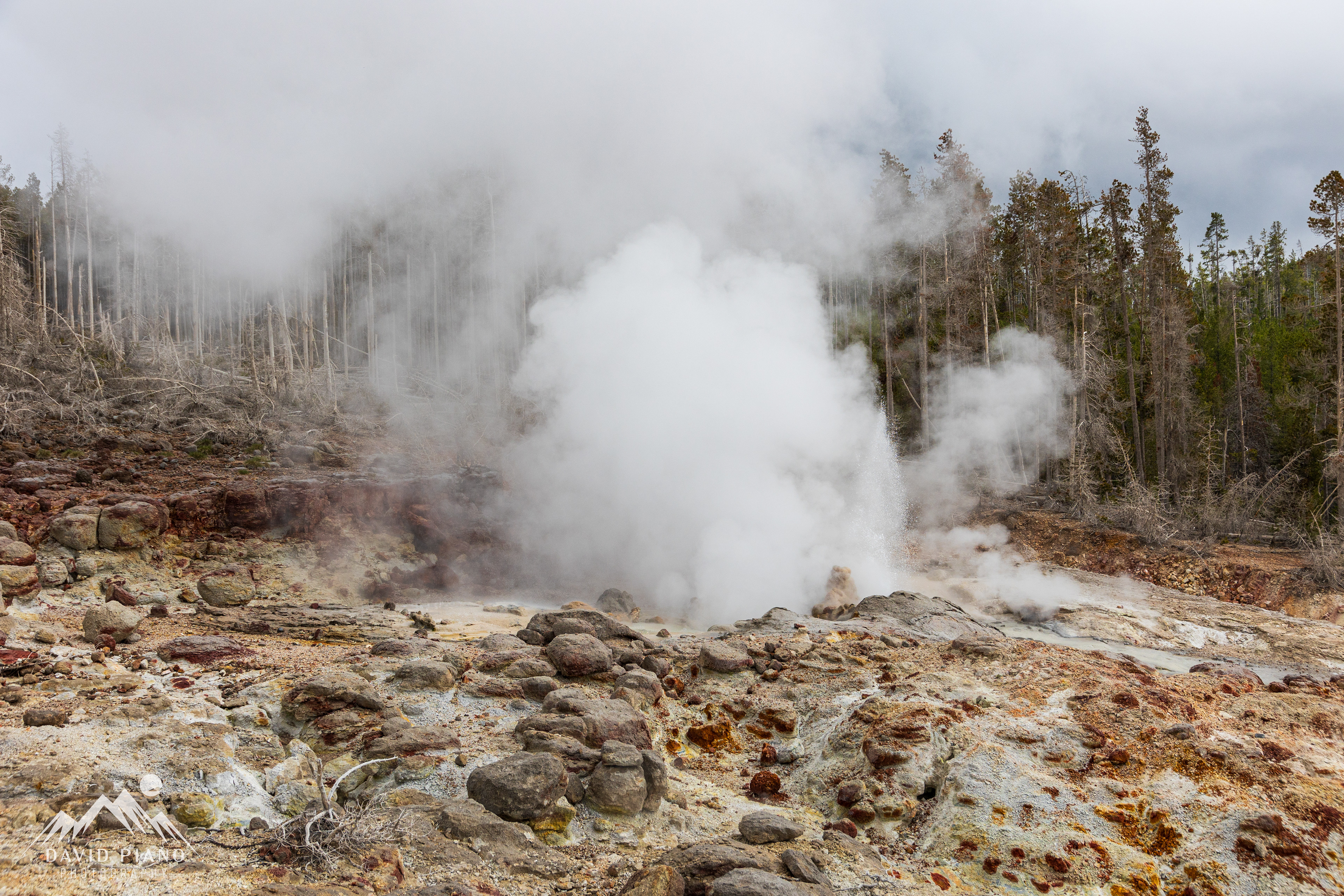 Steamboat Geyser