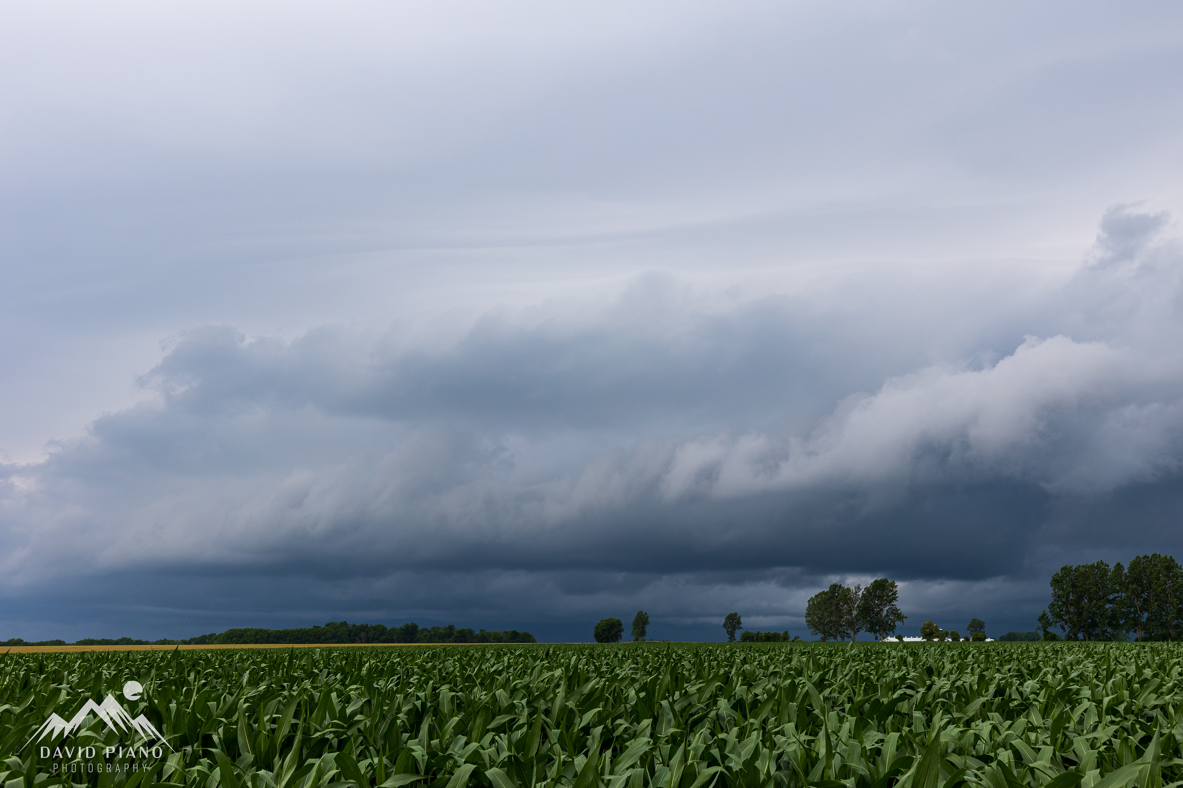Weak thunderstorm with shelf cloud near Ingersoll - July 6