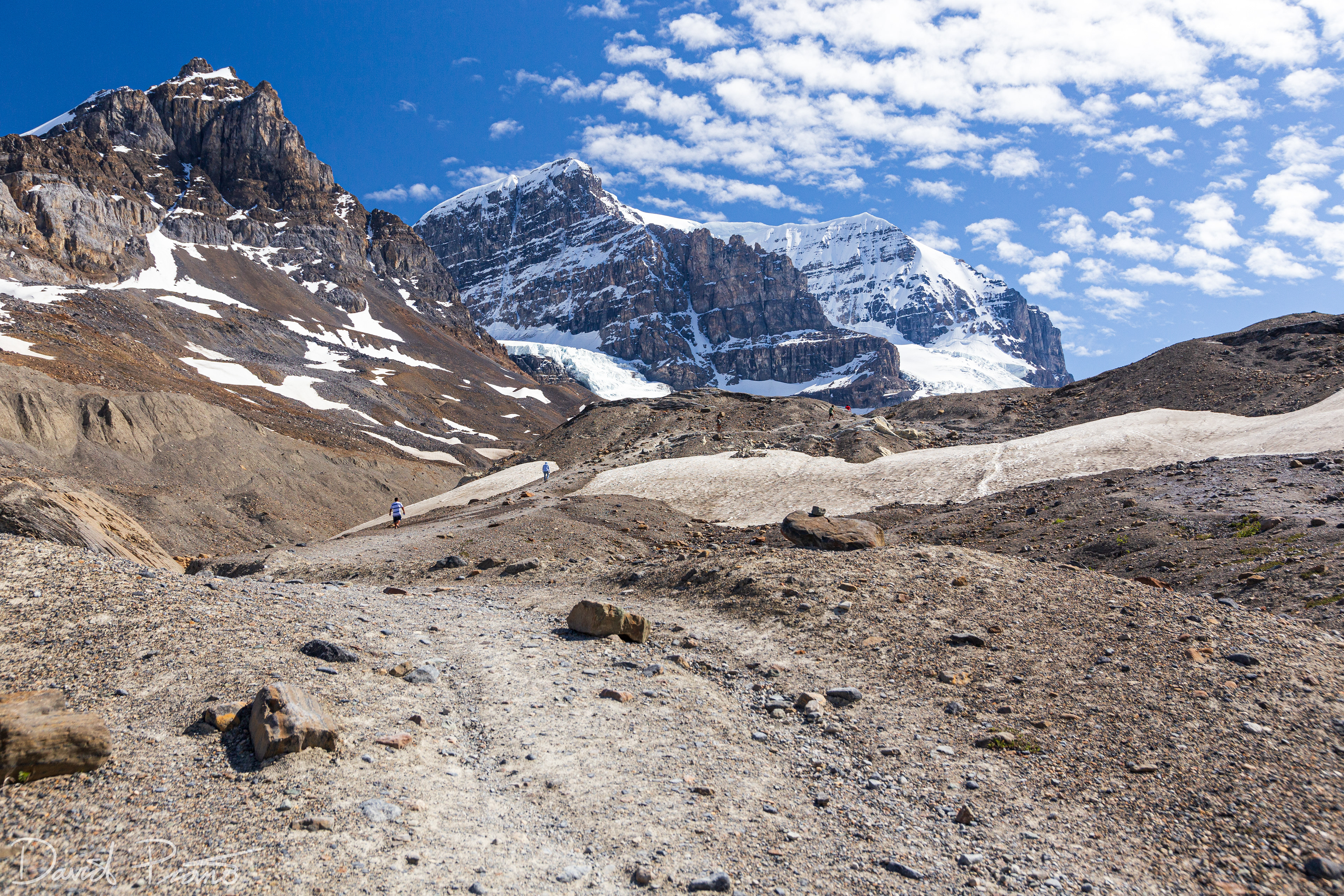 Columbia Icefields