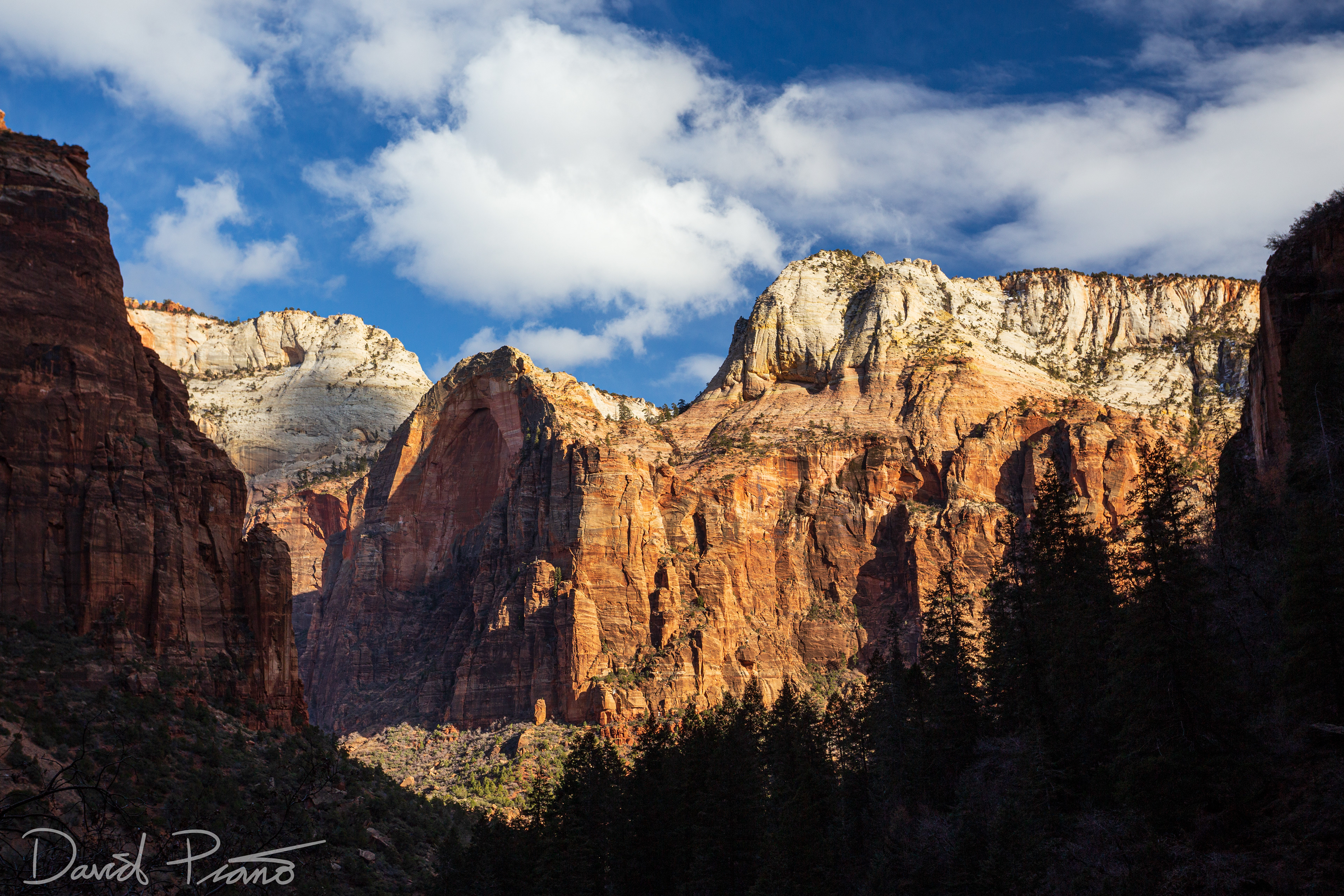 Zion Canyon - Feb. 2020