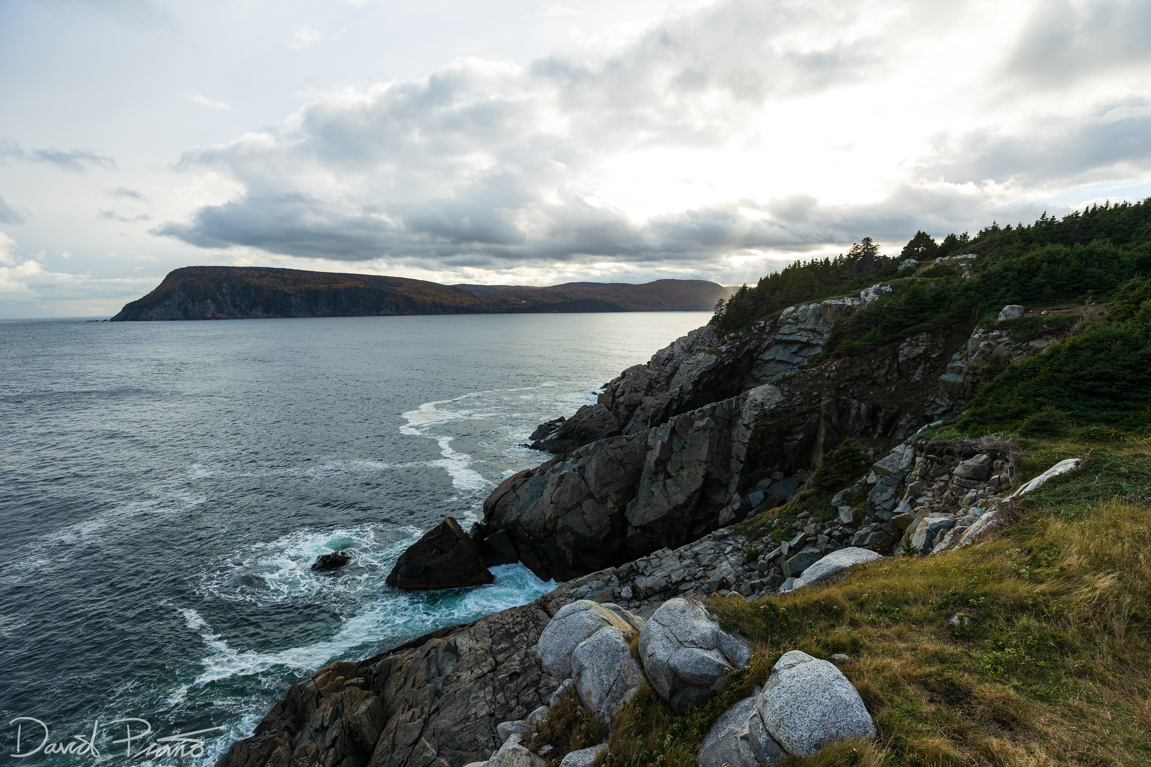 Middle Head Trail