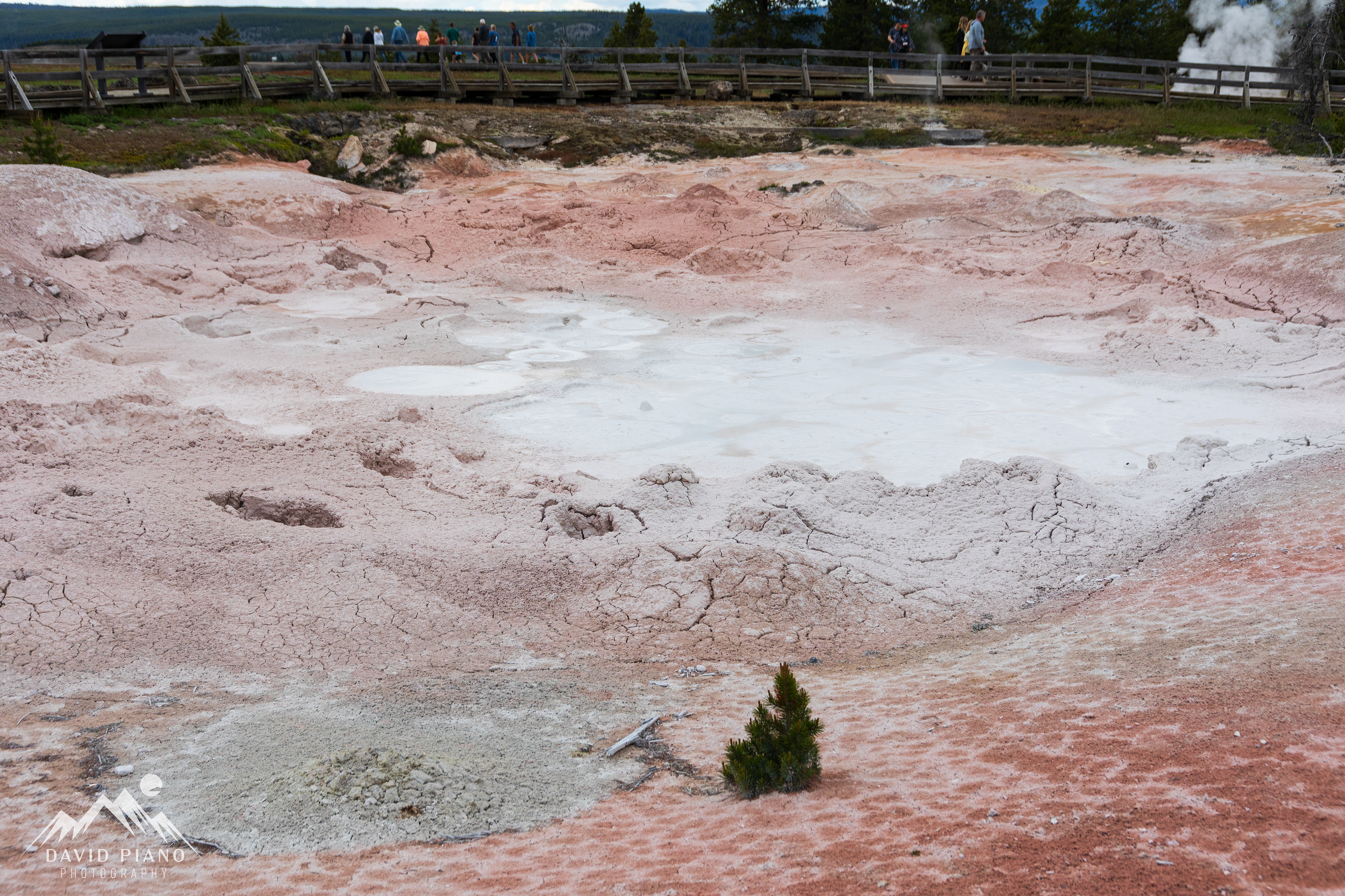 Fountain Paint Pot