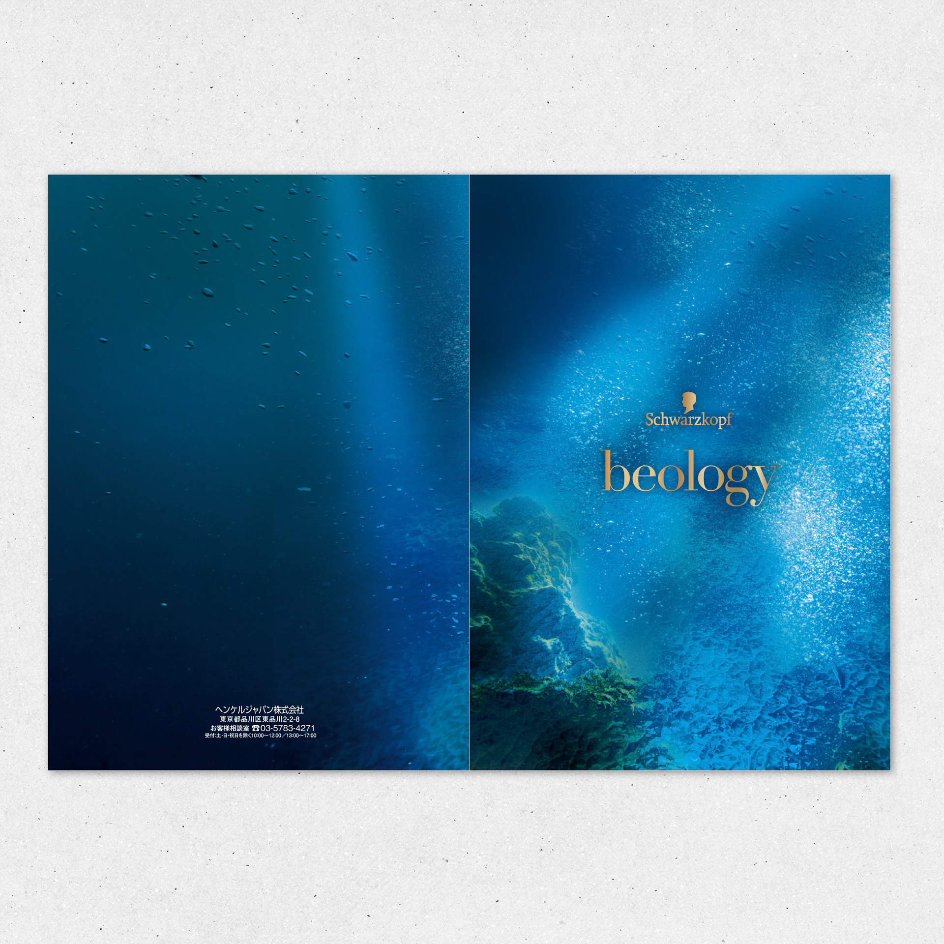 A43 パンフレット 表