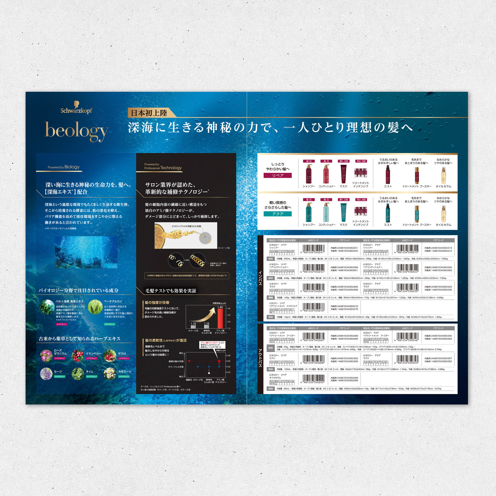 A43 パンフレット 裏