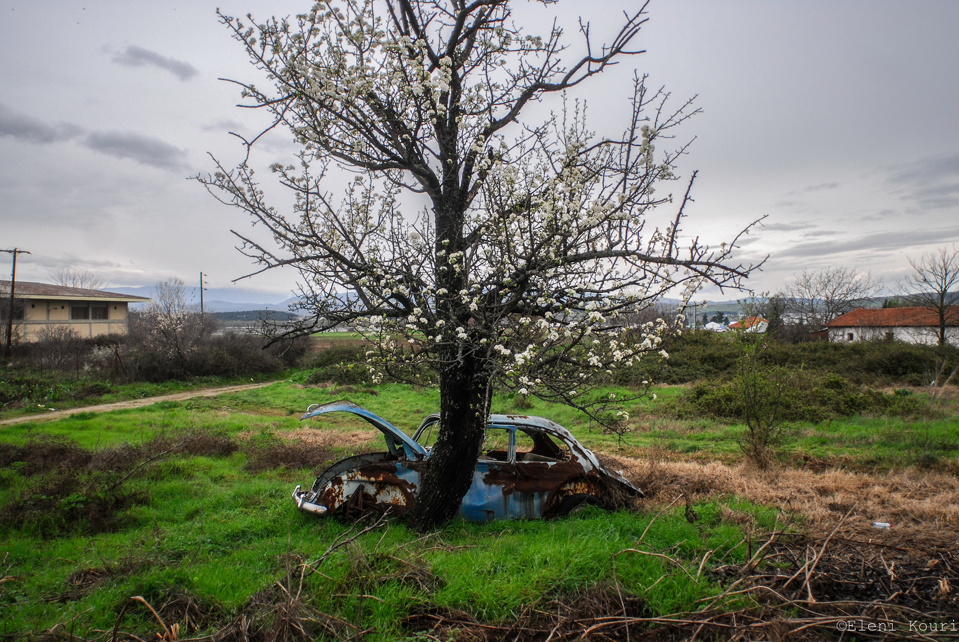 Idomeni Refugees Camp 