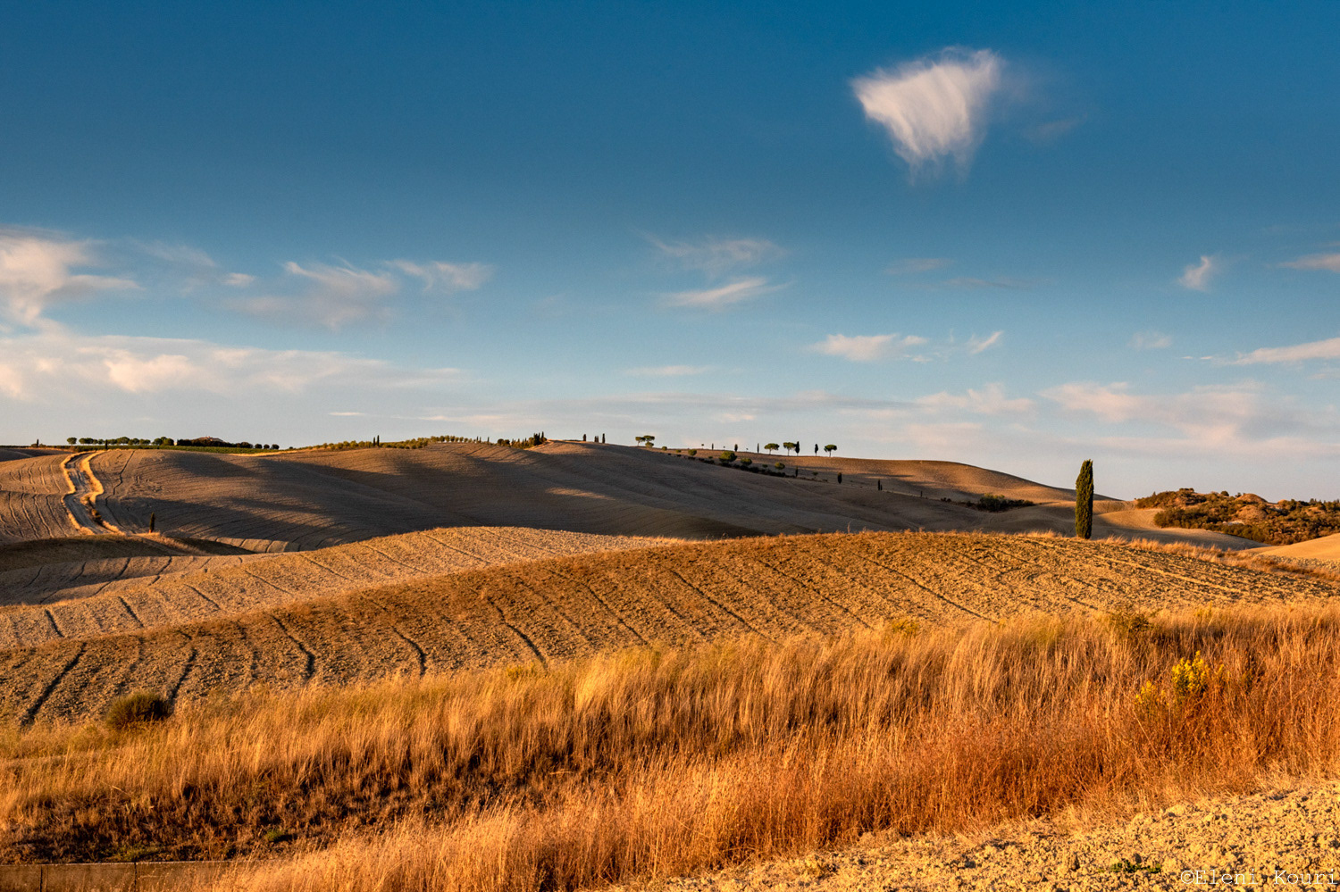 Landscape around San Quirico d'Orcia