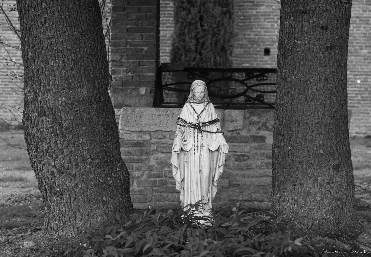 Abbazia di San Galgano -Tuscany