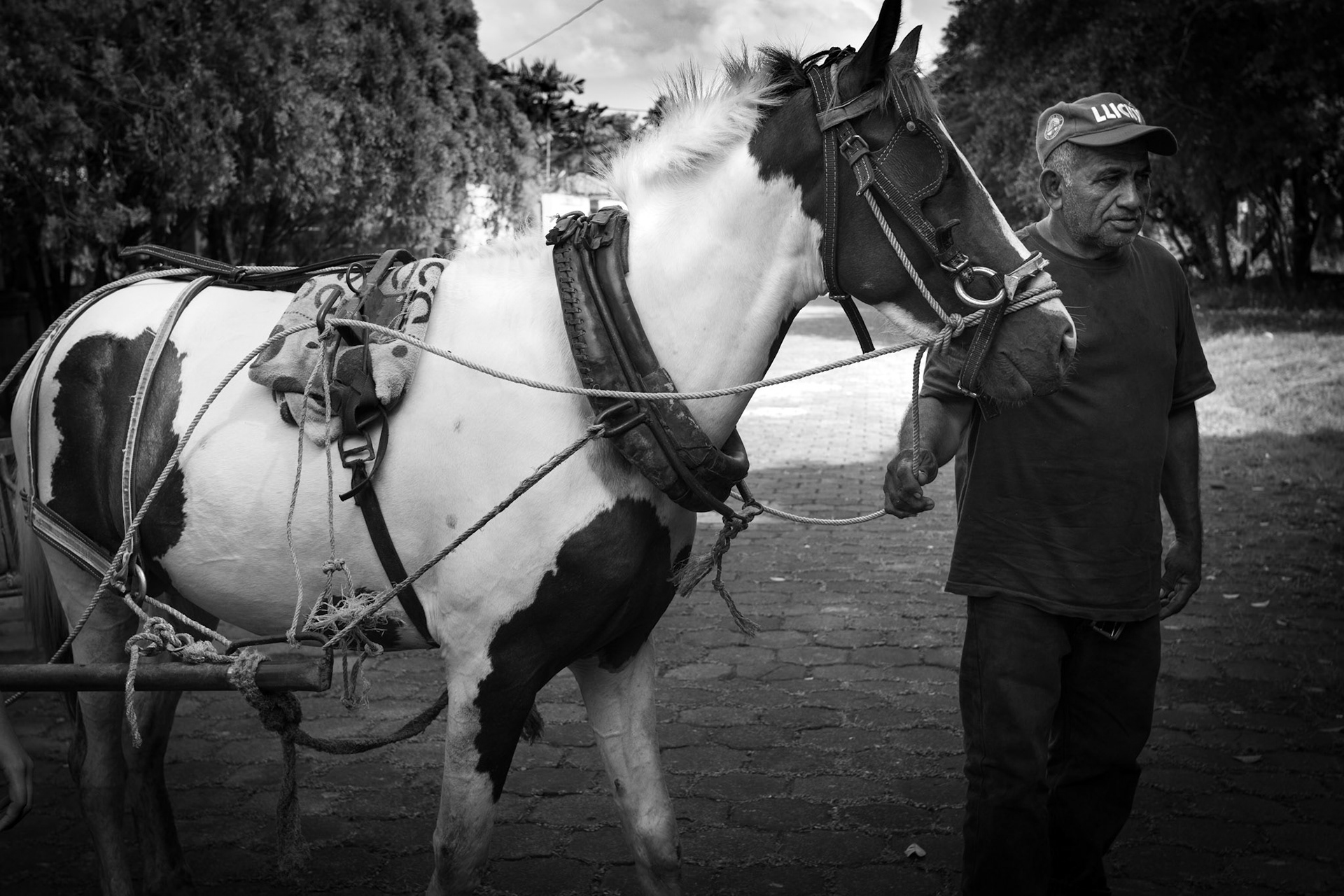 el Goyo con su carretón de caballo