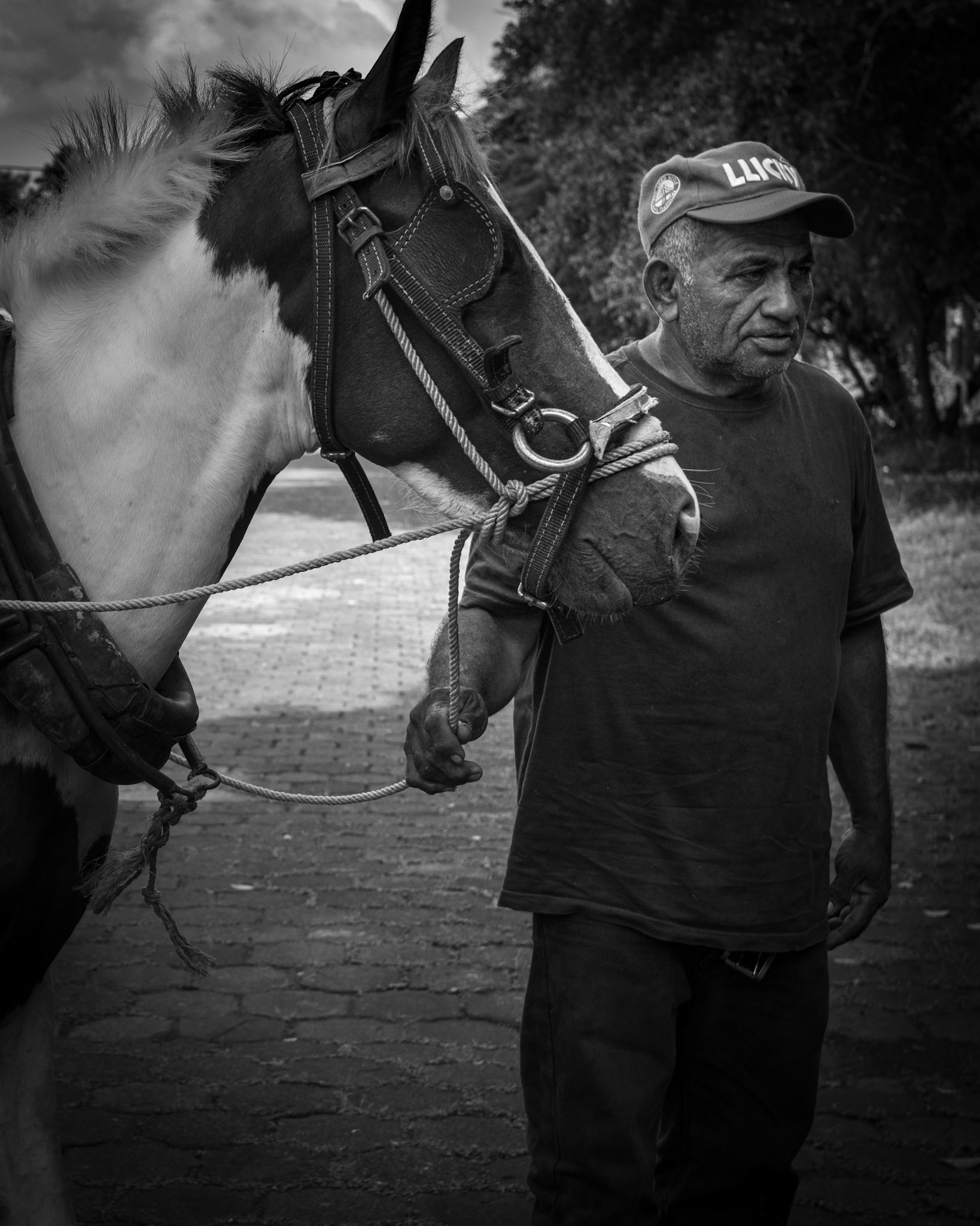 el Goyo con su carretón de caballo