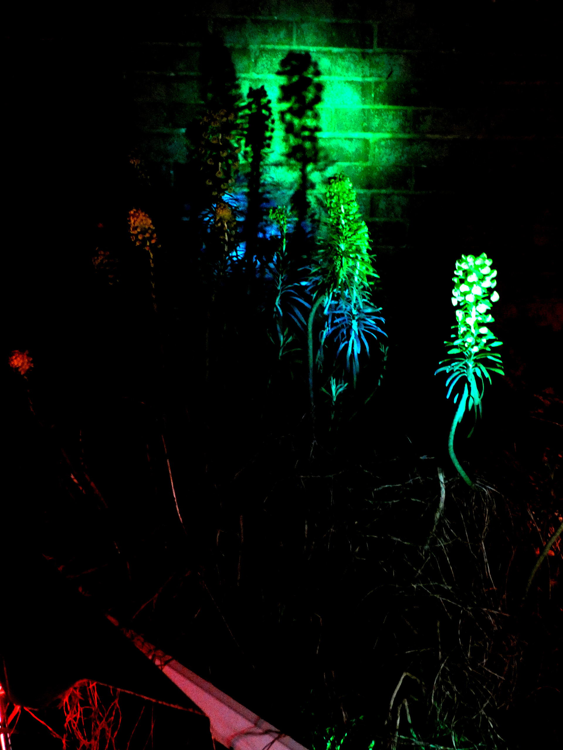 Exposure Light #4 - 2020