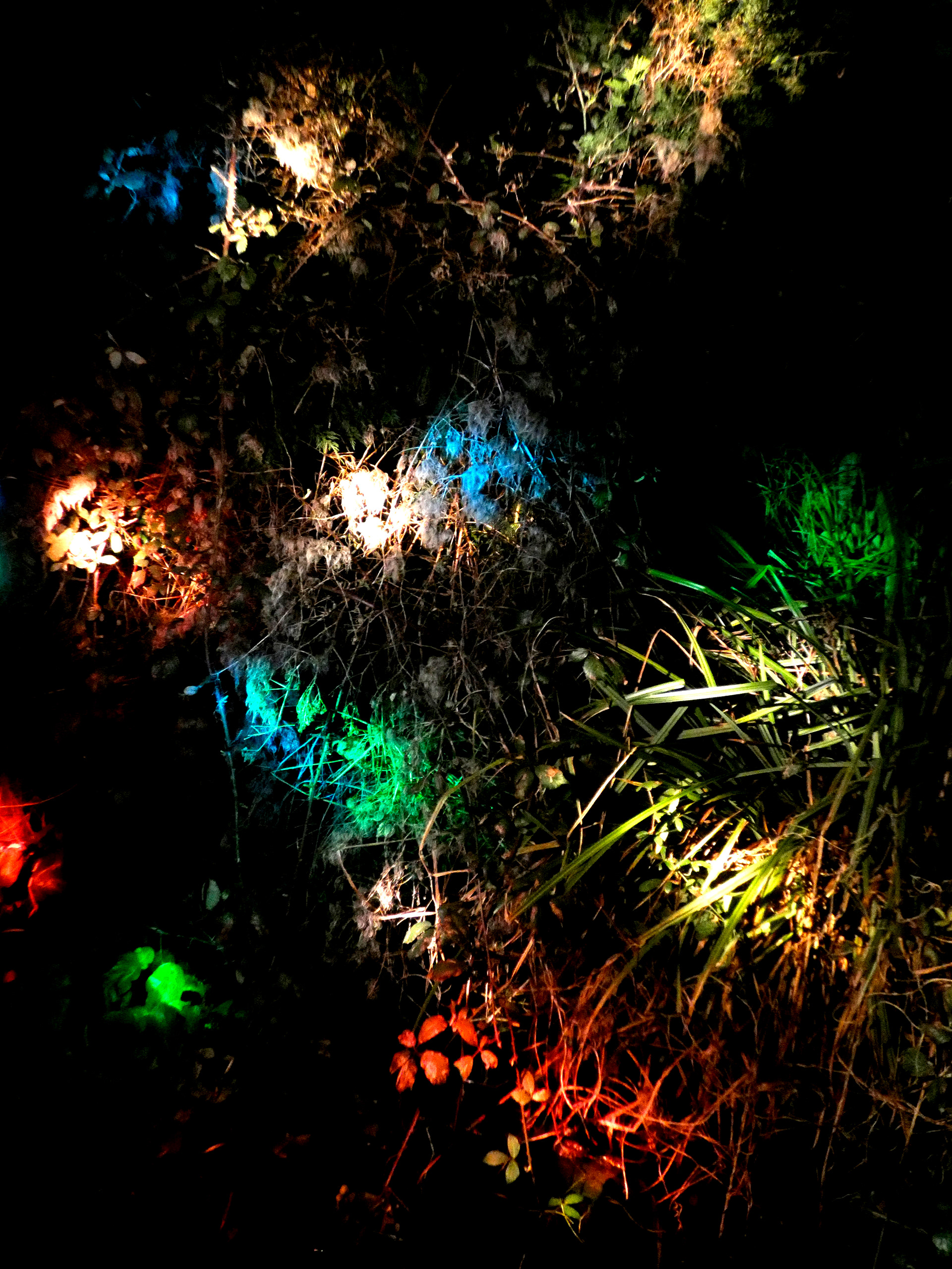 Exposure Light #2 - 2020