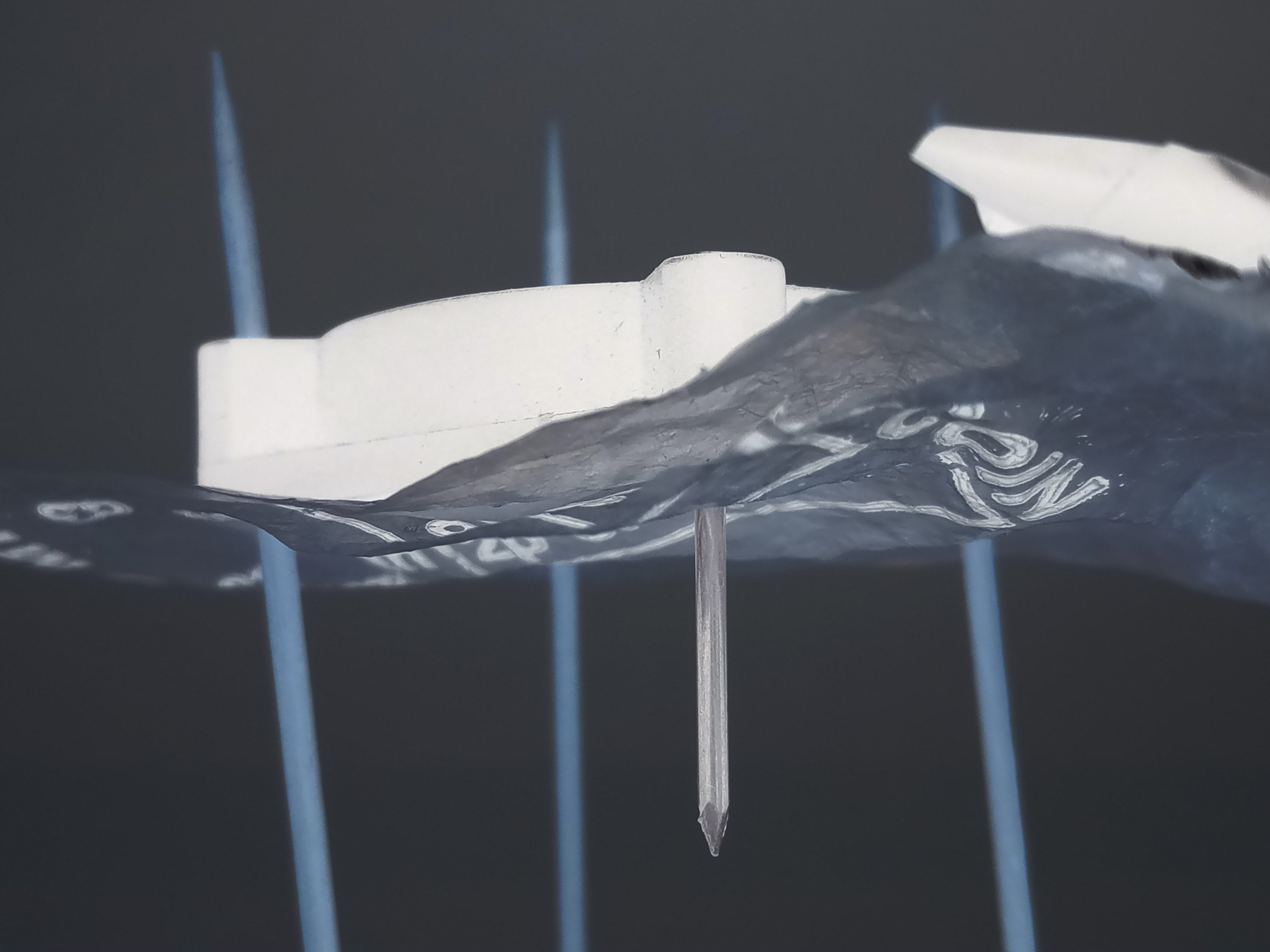 Invert Exploration (5) - 2019