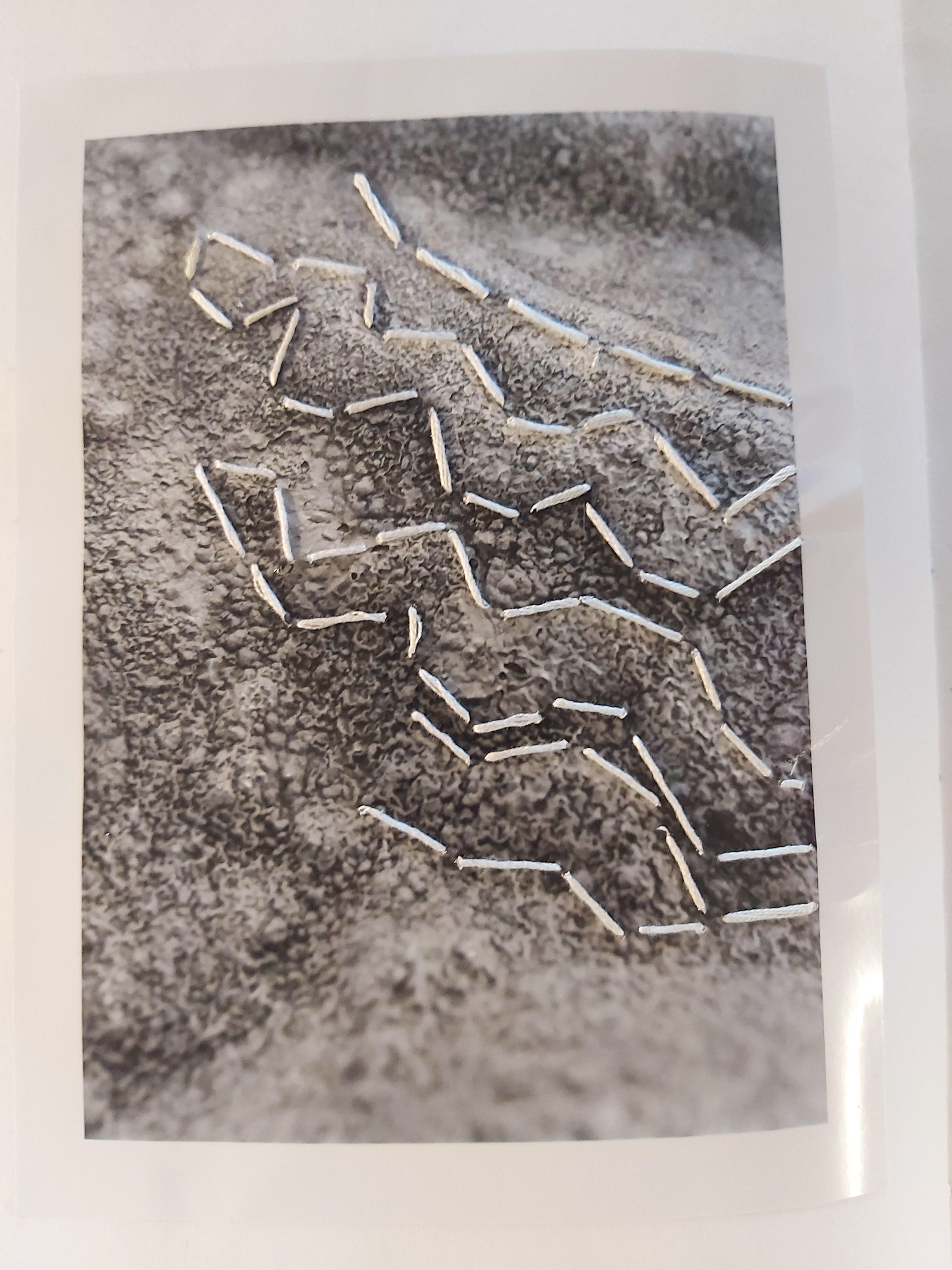 Photograph Stitching #3 - 2018