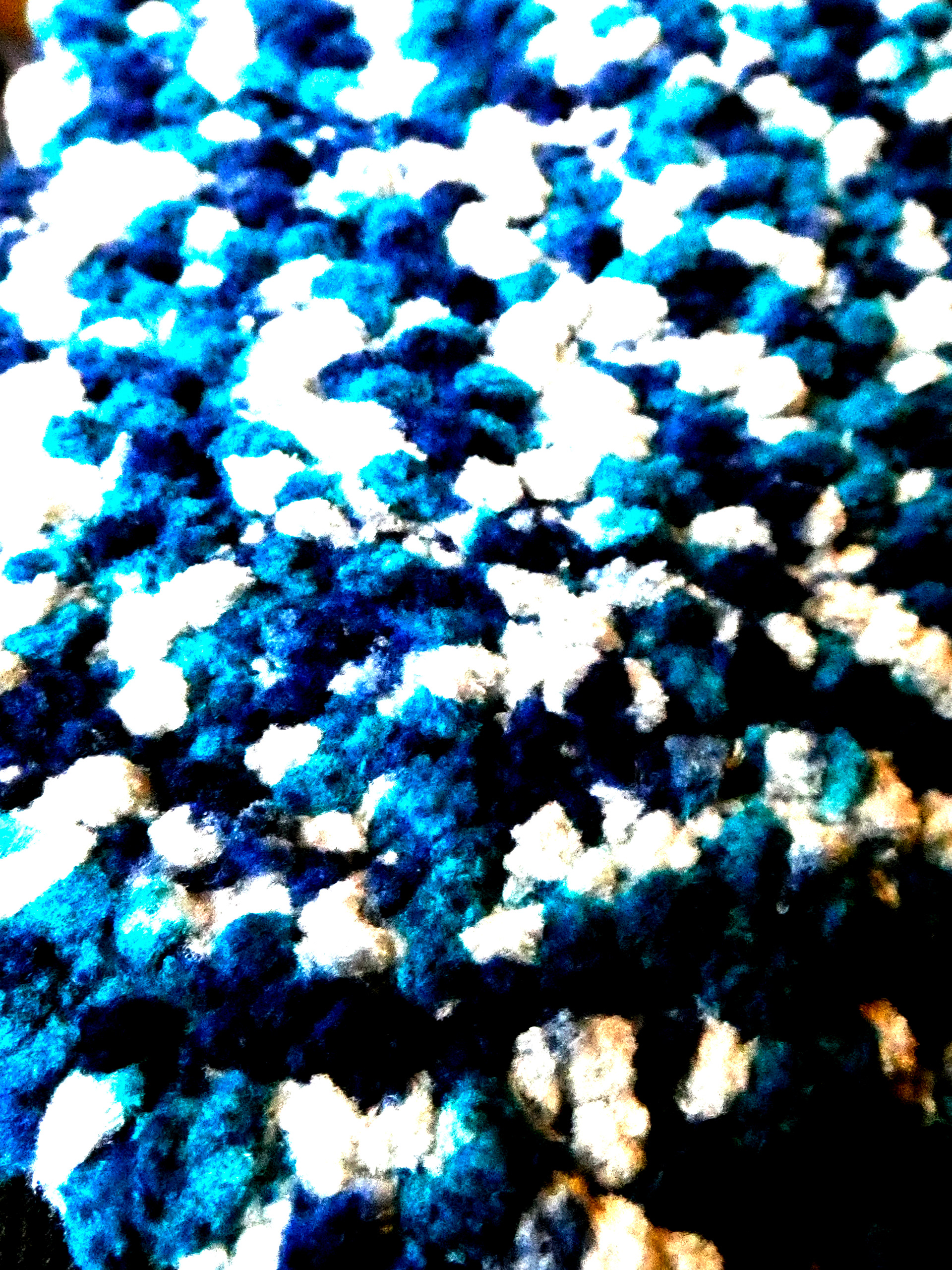 Pattern #4 - 2019