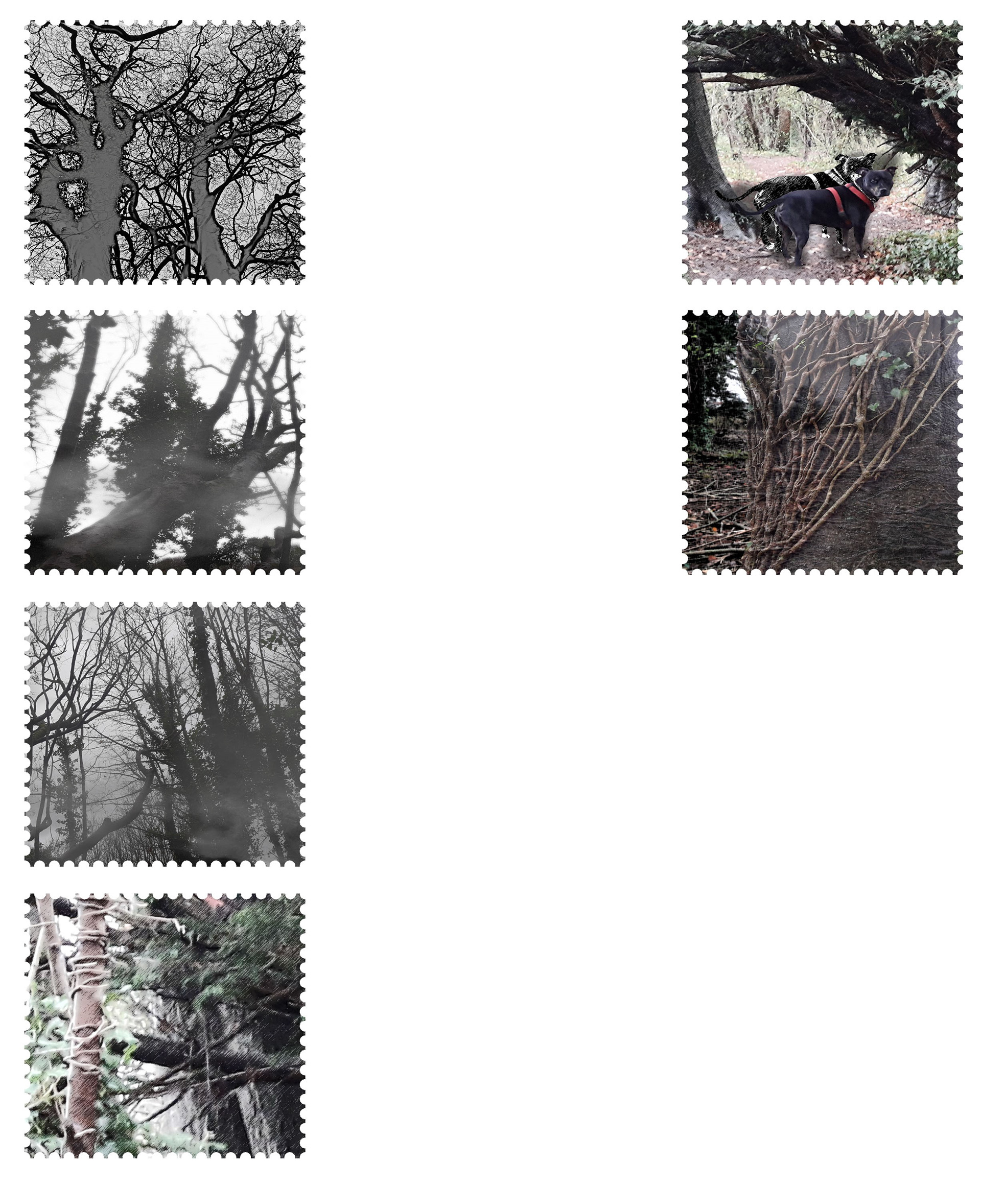 Horror Theme Stamp Designs - 2018
