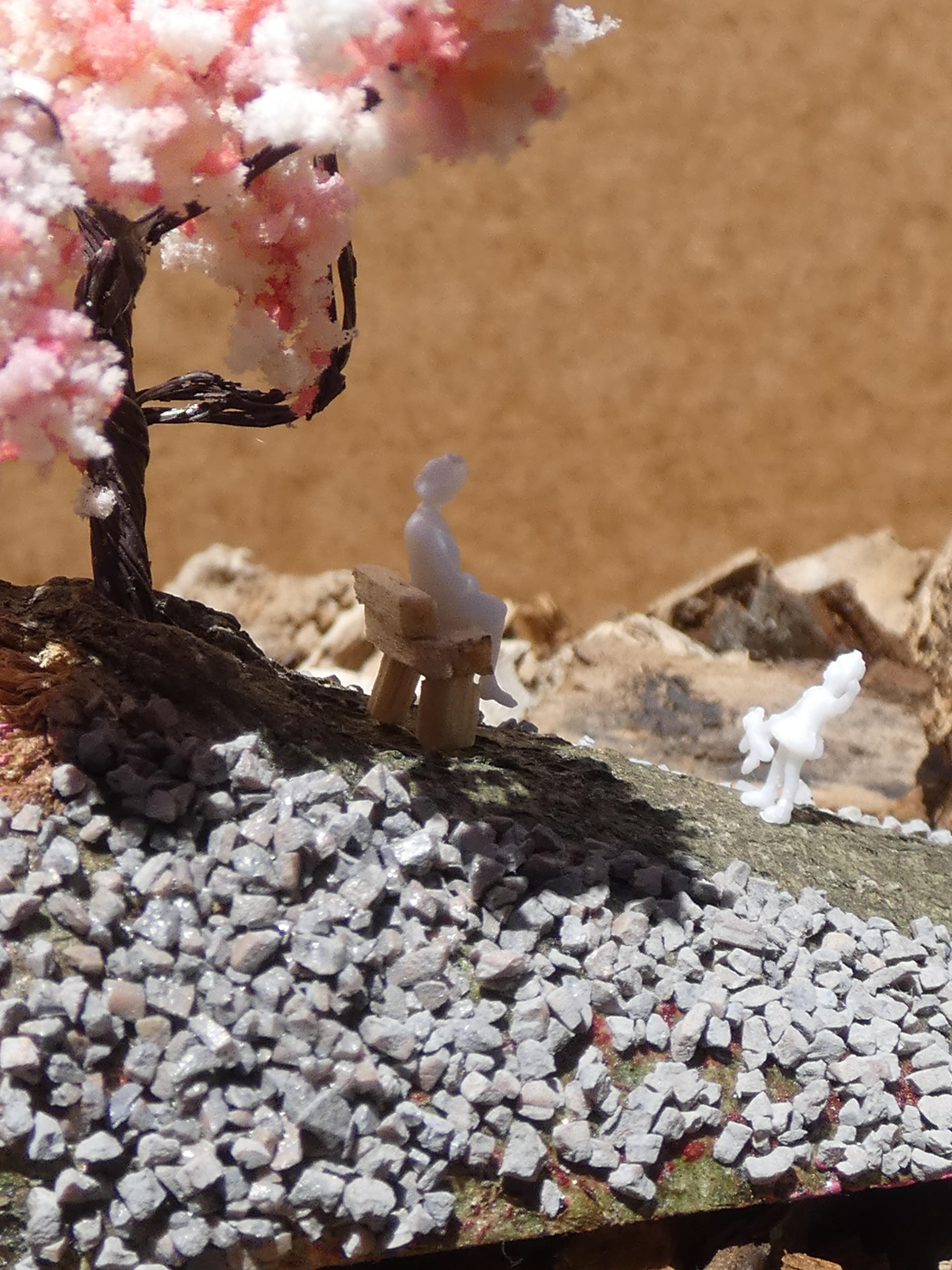 Cherry Blossom Hill #7 - 2020