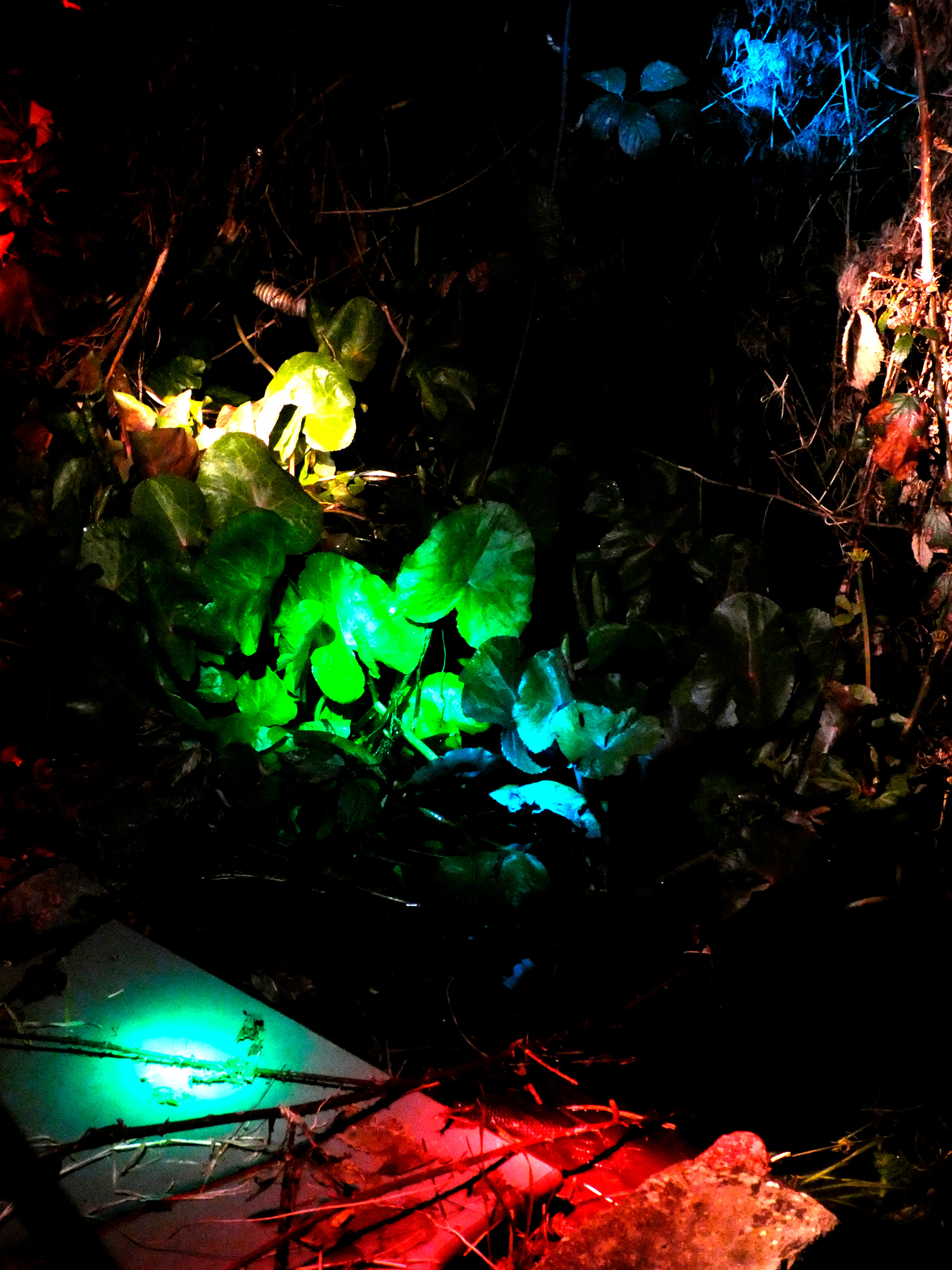 Exposure Light #1 - 2020