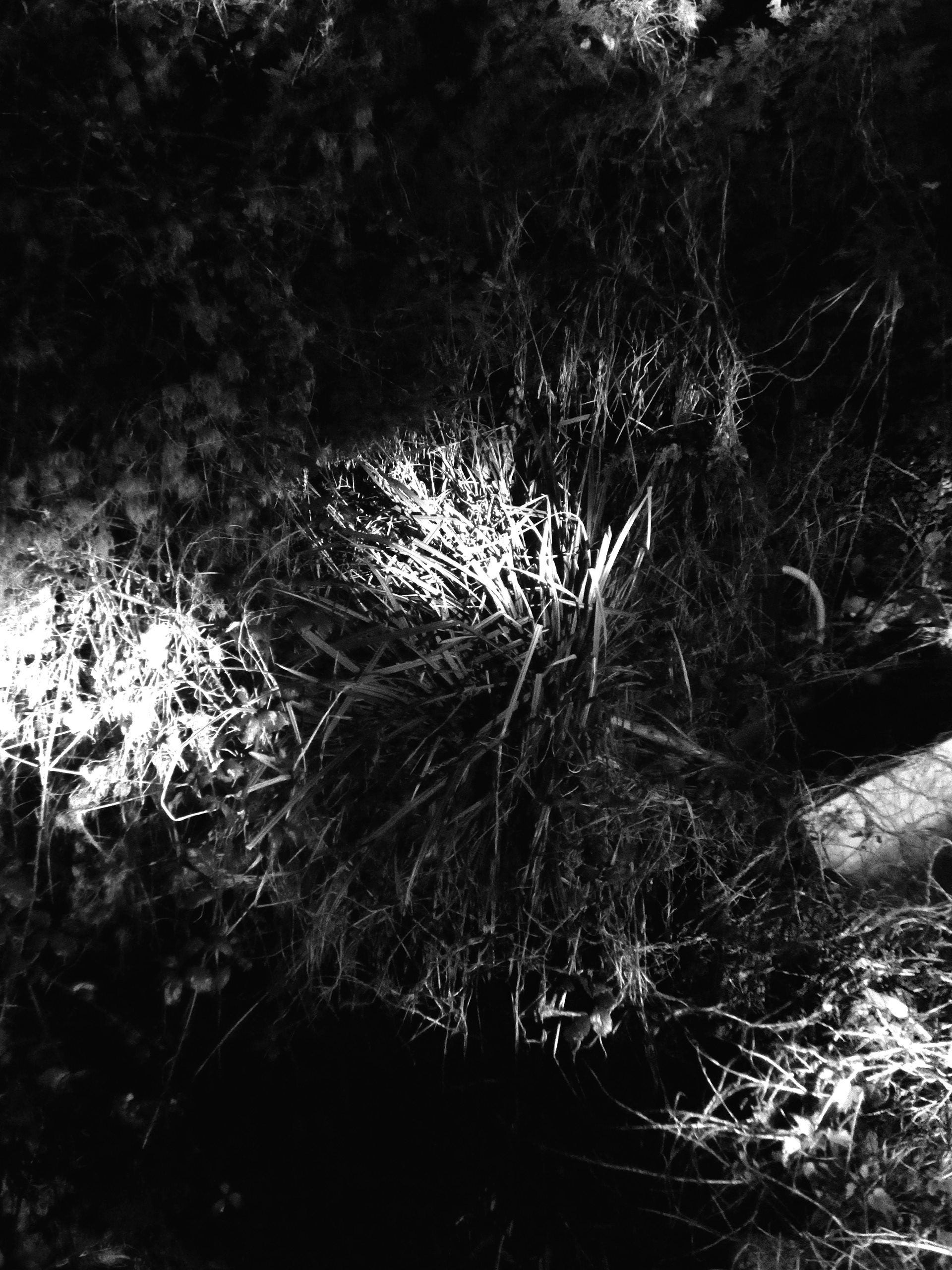 B&W Lights #3 - 2020