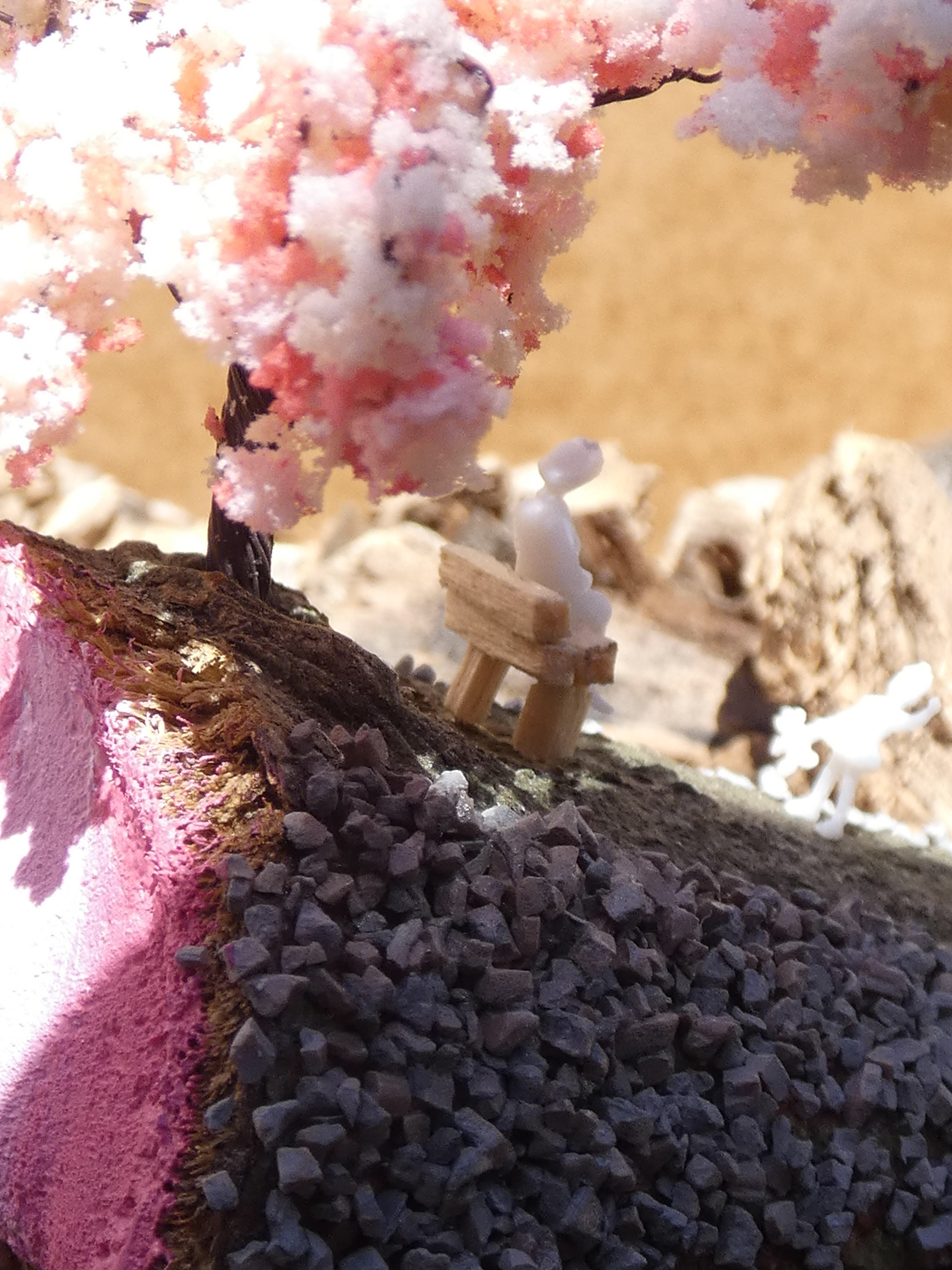 Cherry Blossom Hill #8 - 2020