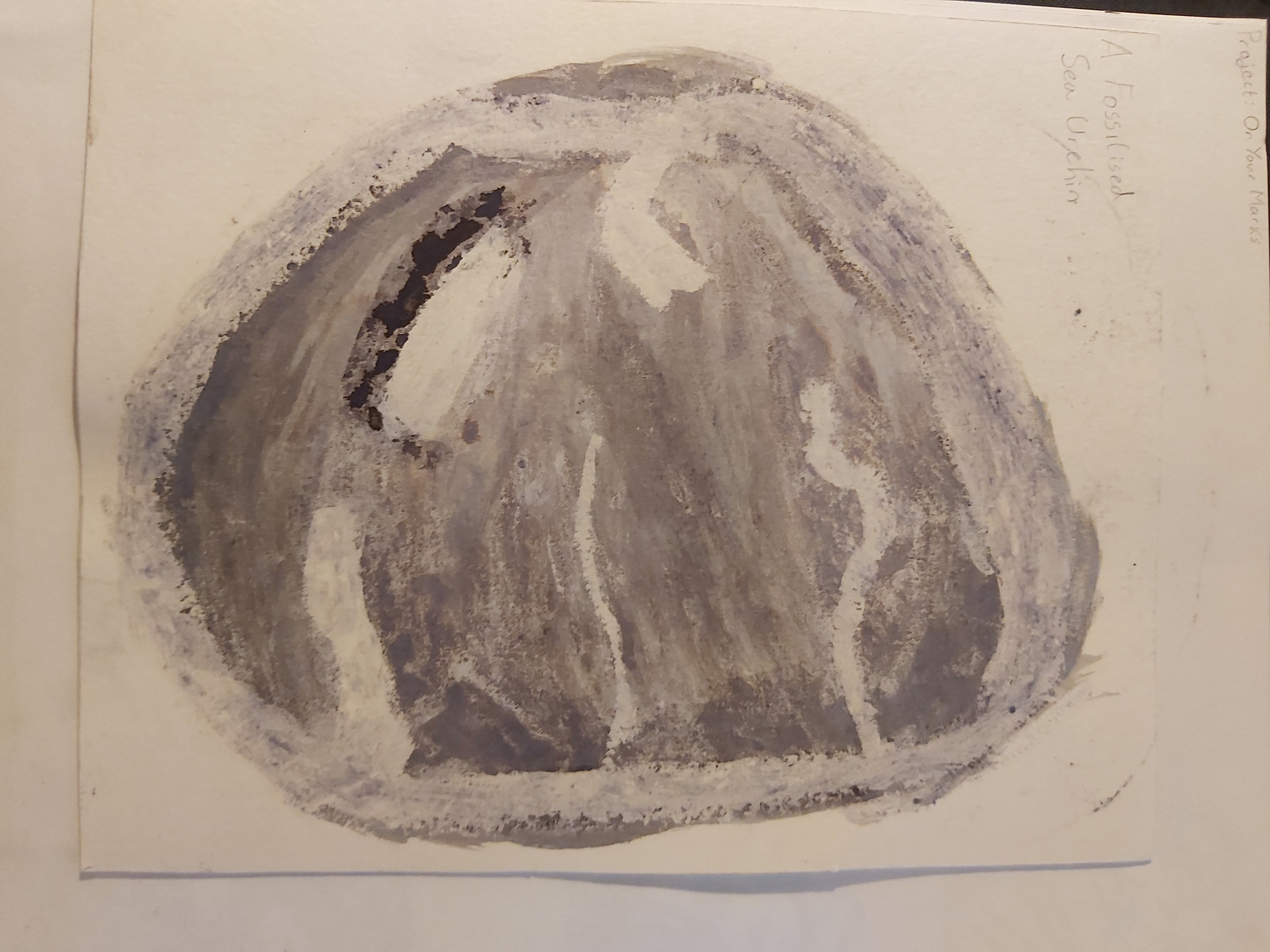 Fossil - 2018