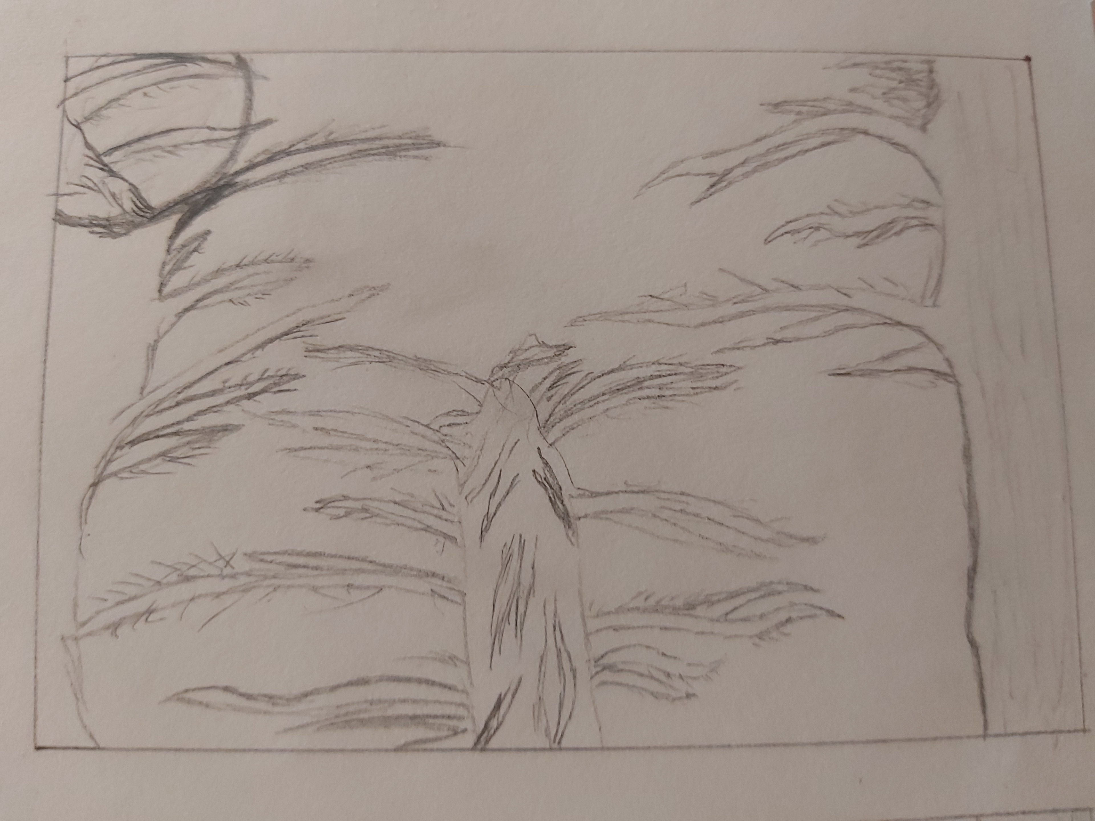 Woods & Sky #2 - 2018 - Pencil