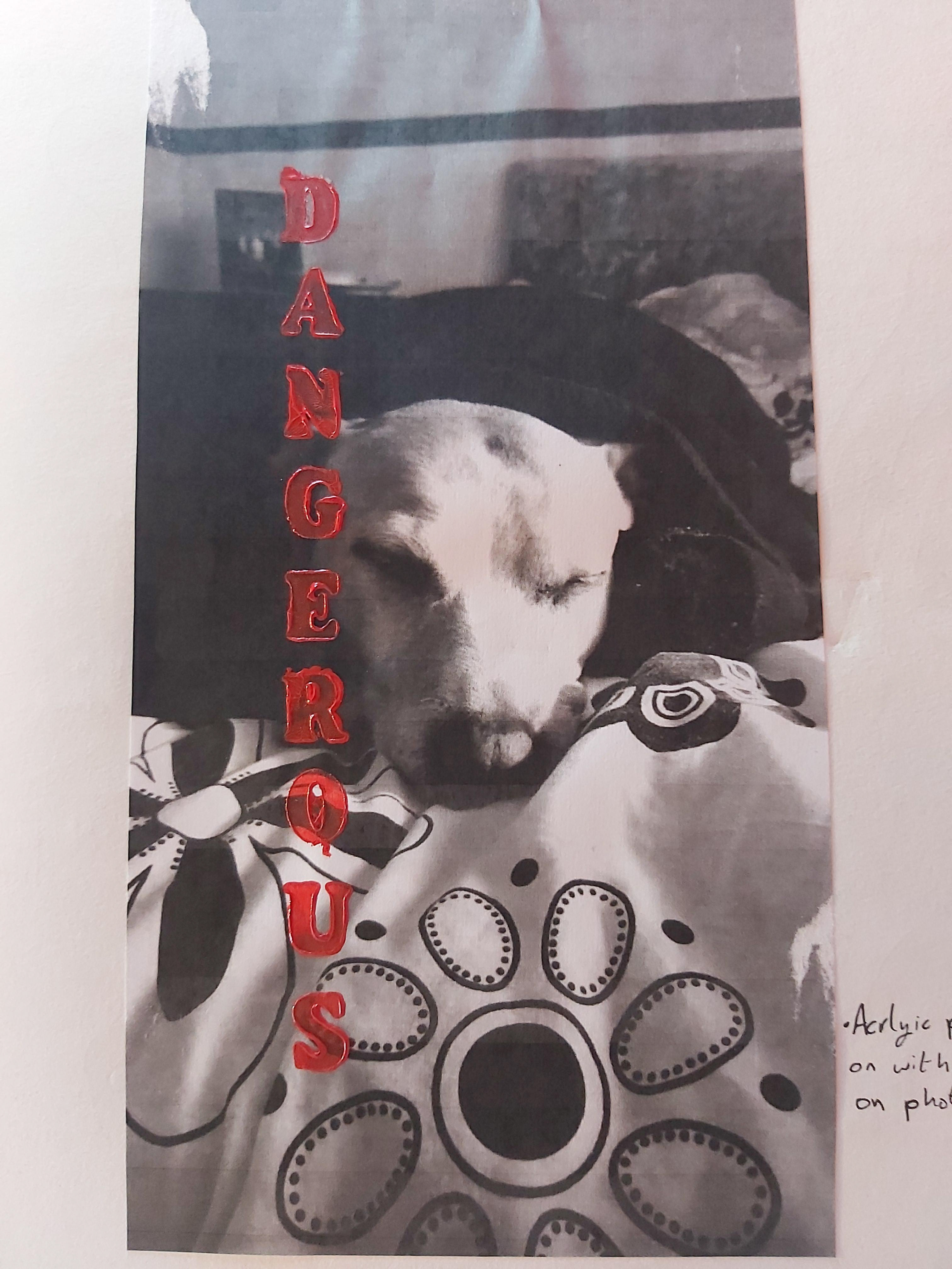 Question #2 - 2019 - Acrylic Paint & Photograph