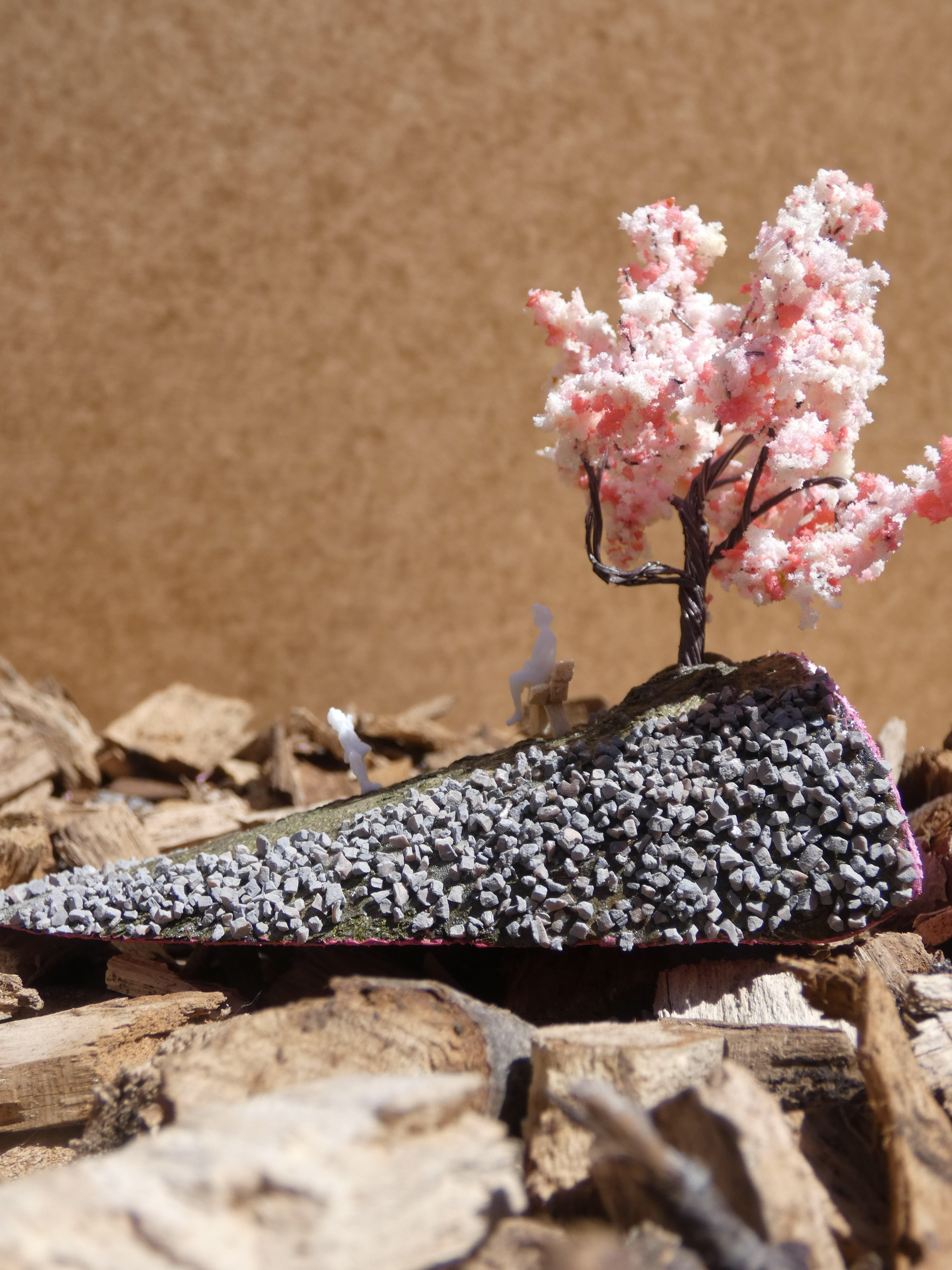 Cherry Blossom Hill #5 - 2020
