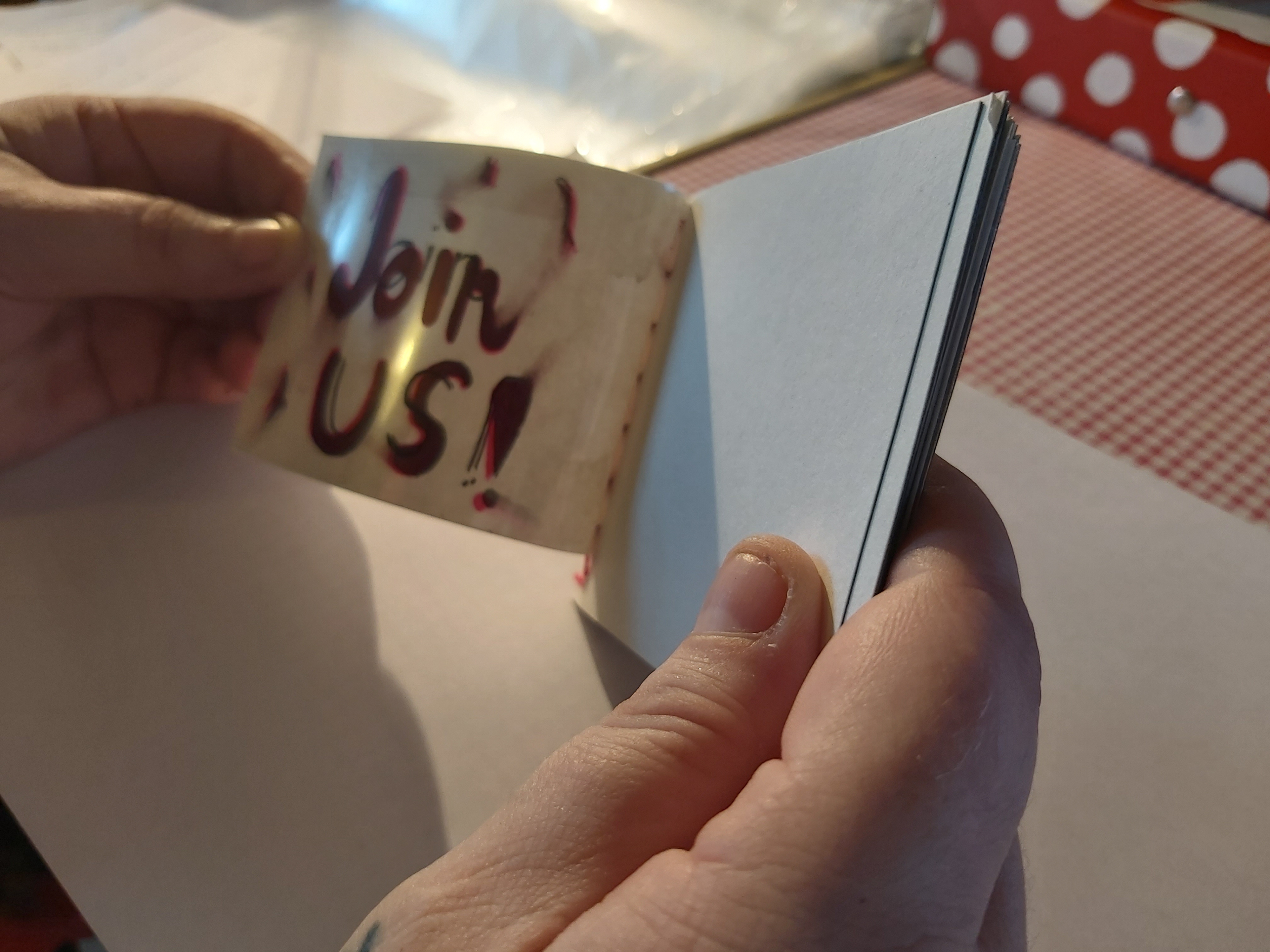 Handmade Booklet - 2019 - Acetate