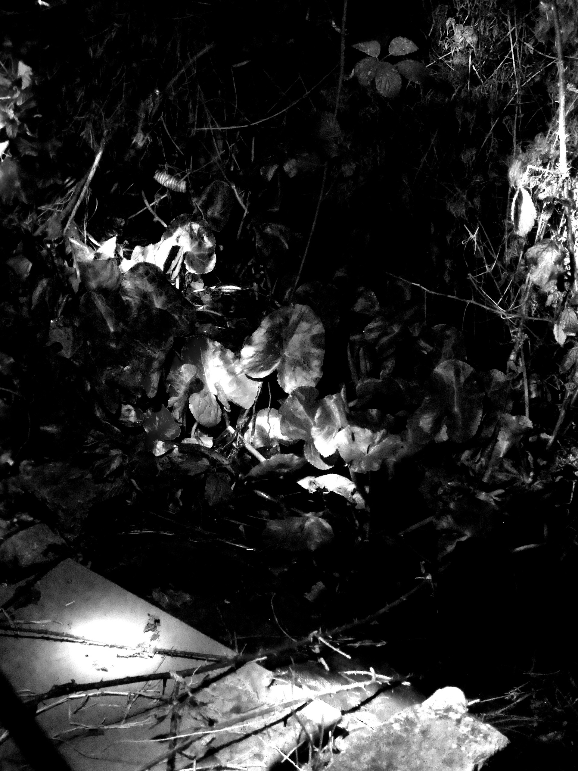 B&W Lights #1 - 2020