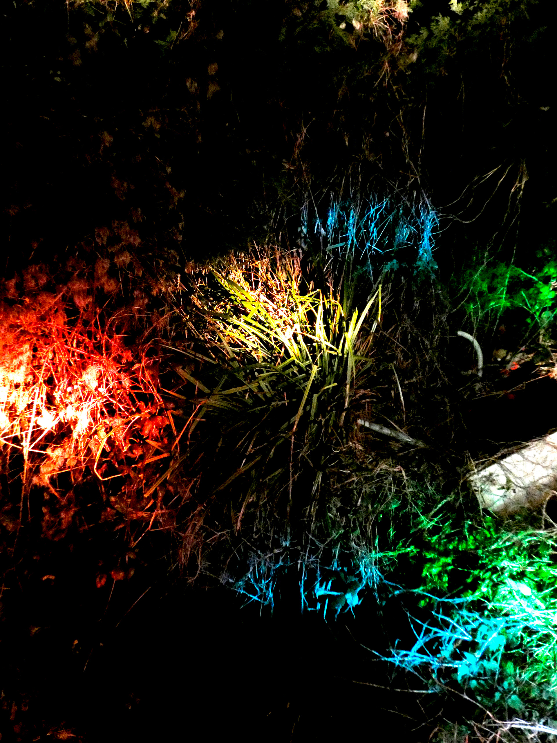 Exposure Light #3 - 2020