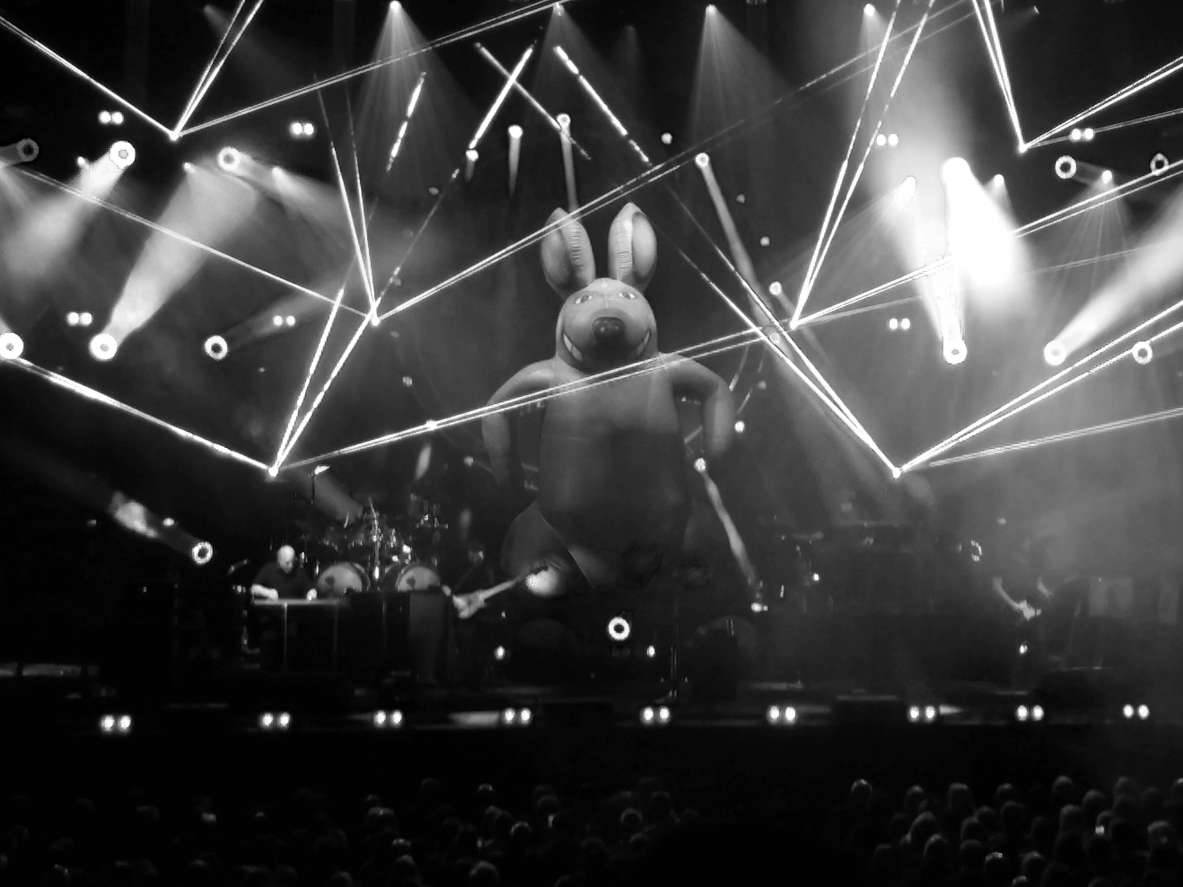Aussie Pink Floyd Edit #3 - 2019