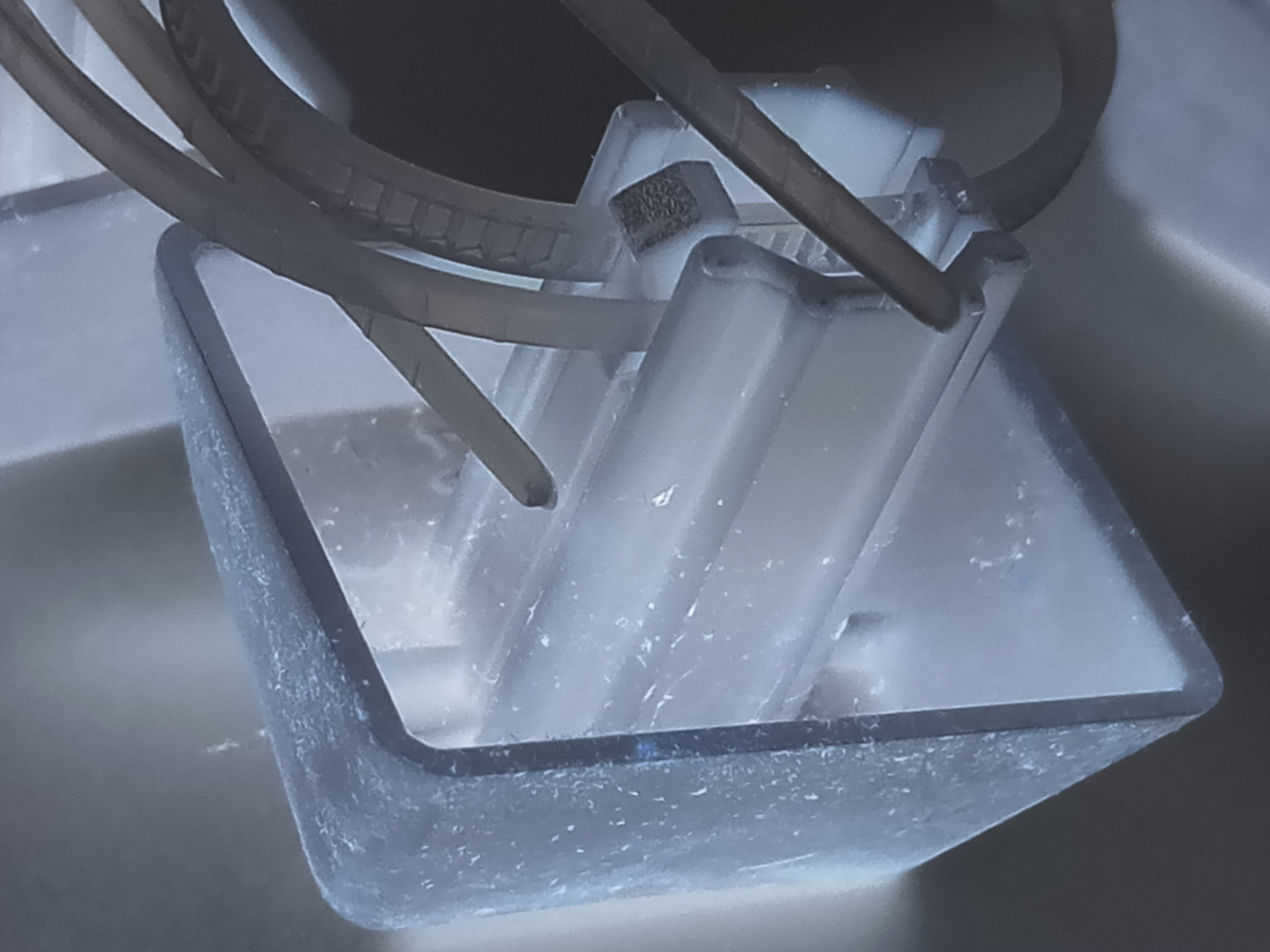 Invert Exploration (11) - 2019