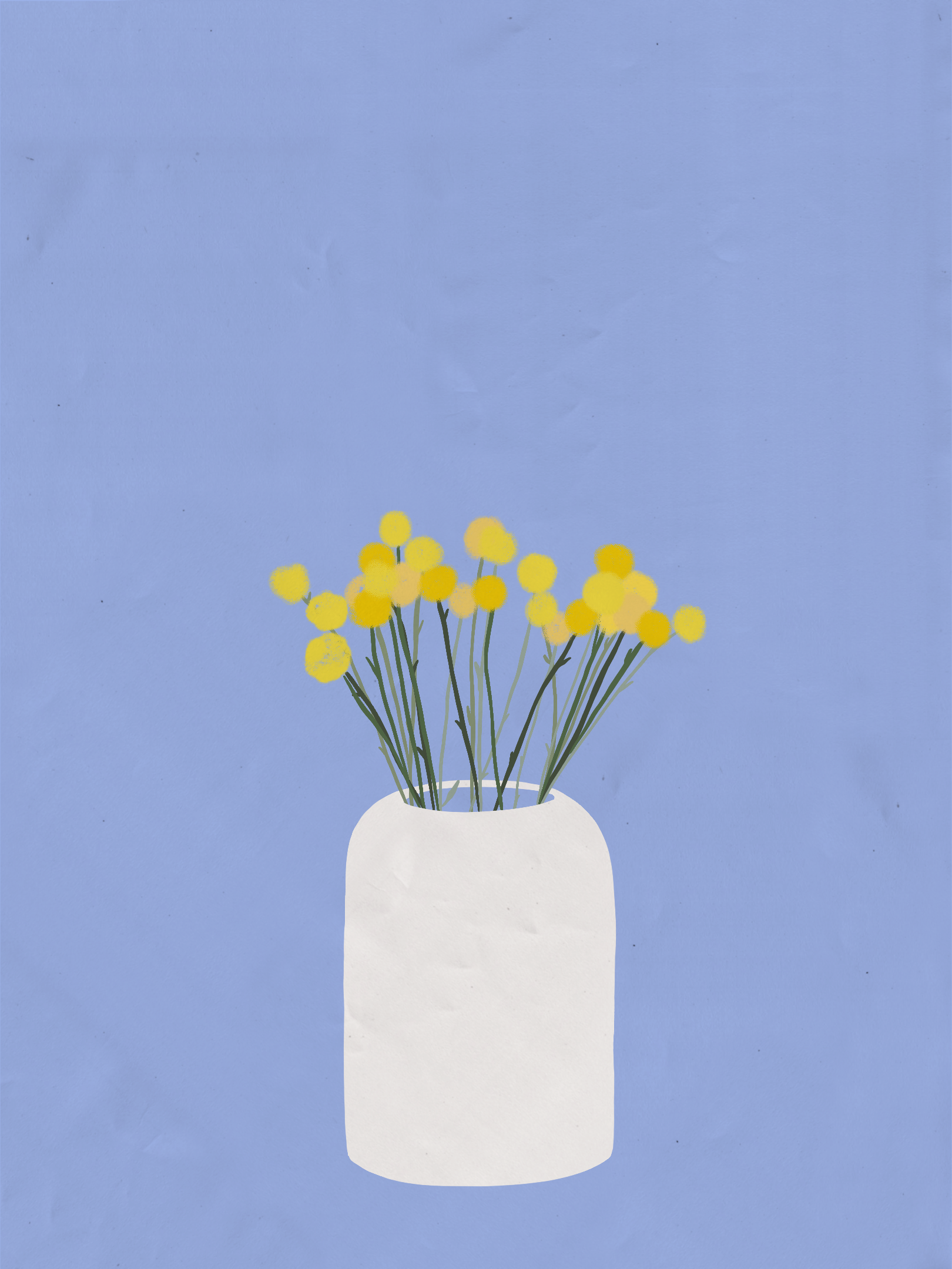 Yellow Craspedia / 2021