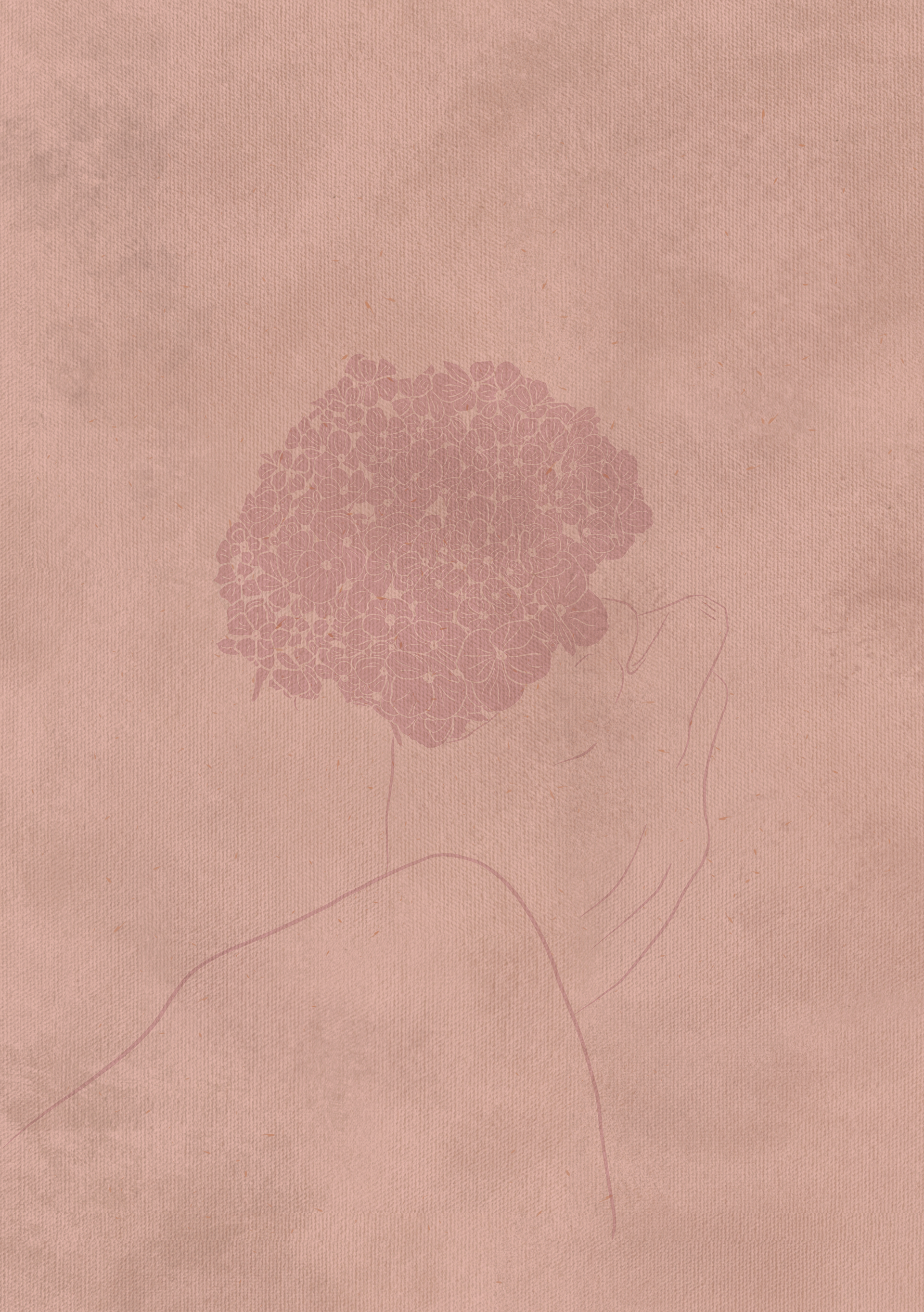 Hydrangeas / 2024