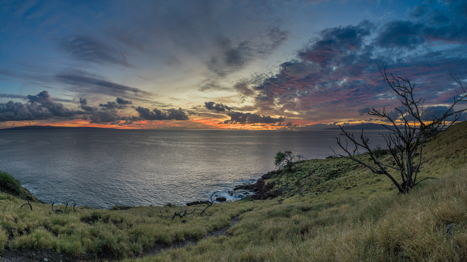McGregor Point Lookout