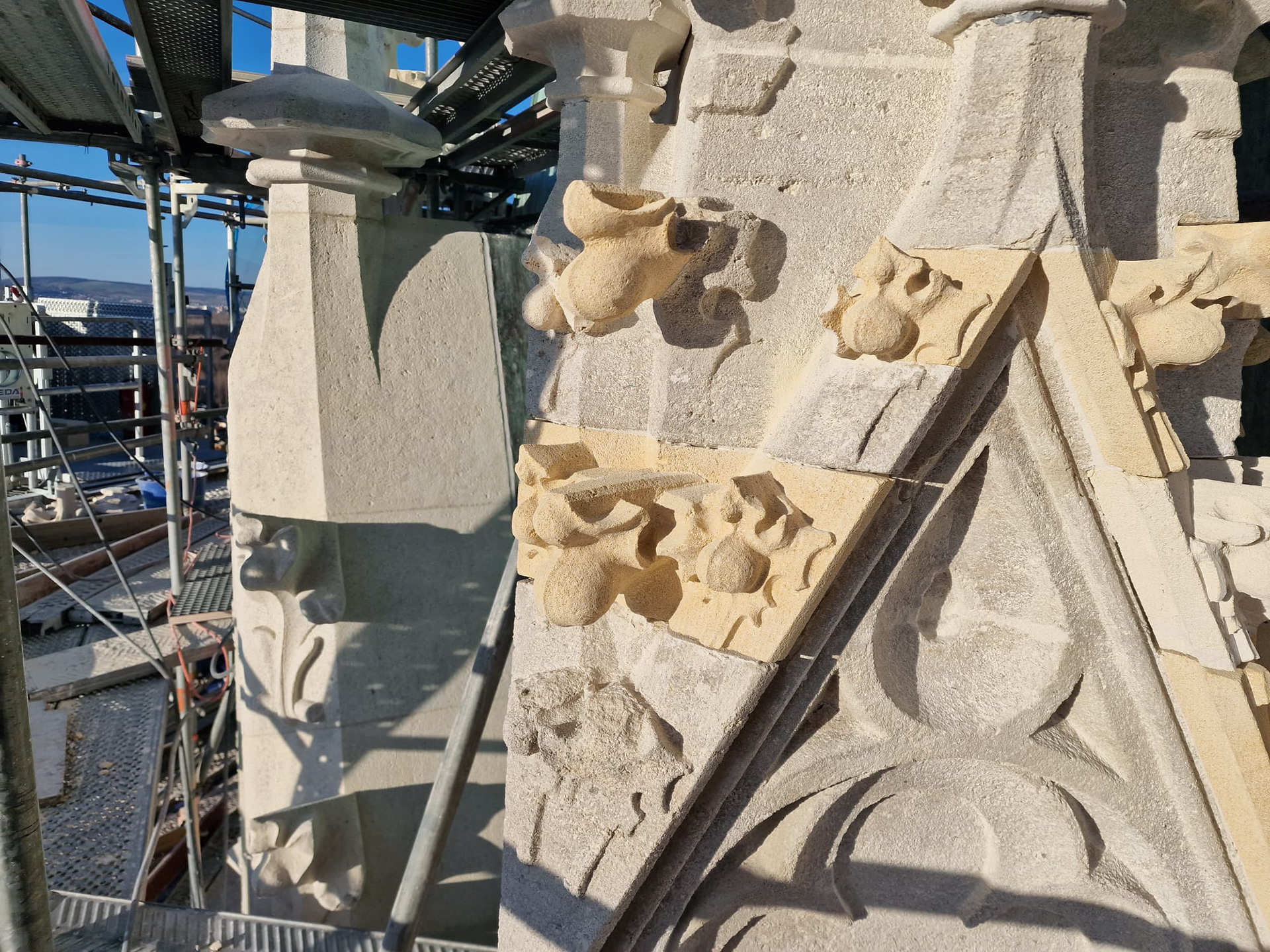 Klosterneuburg - gotische Krabben