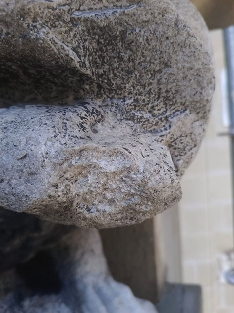 Detailaufnahme Schadensbild Löwenmaul